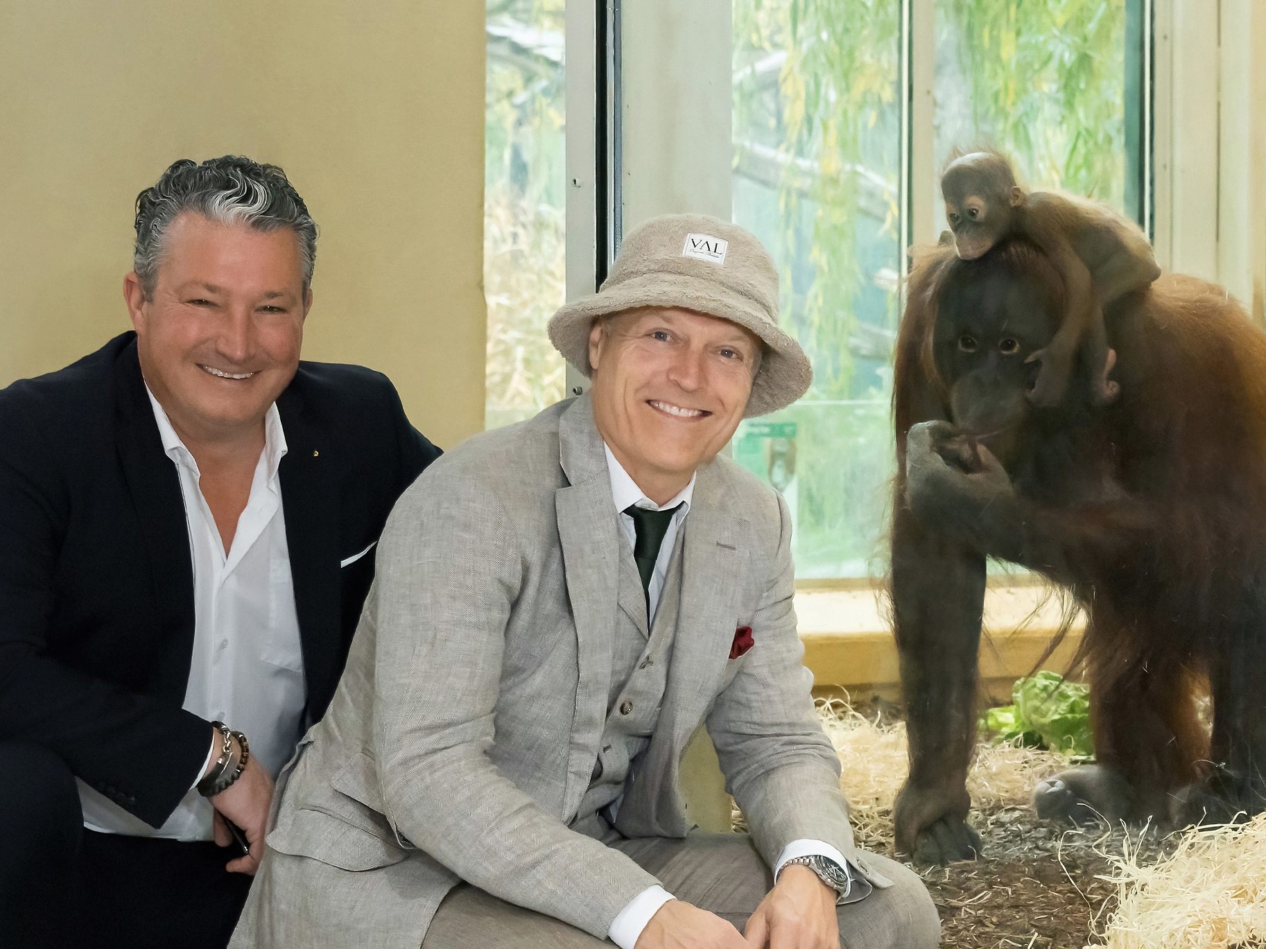Der Pianist Joja Wendt gibt am 11. Jänner 2023 ein Konzert im Wiener Tiergarten Schönbrunn. Der Pianist Joja Wendt gibt am 11. Jänner 2023 ein Konzert im Wiener Tiergarten Schönbrunn.