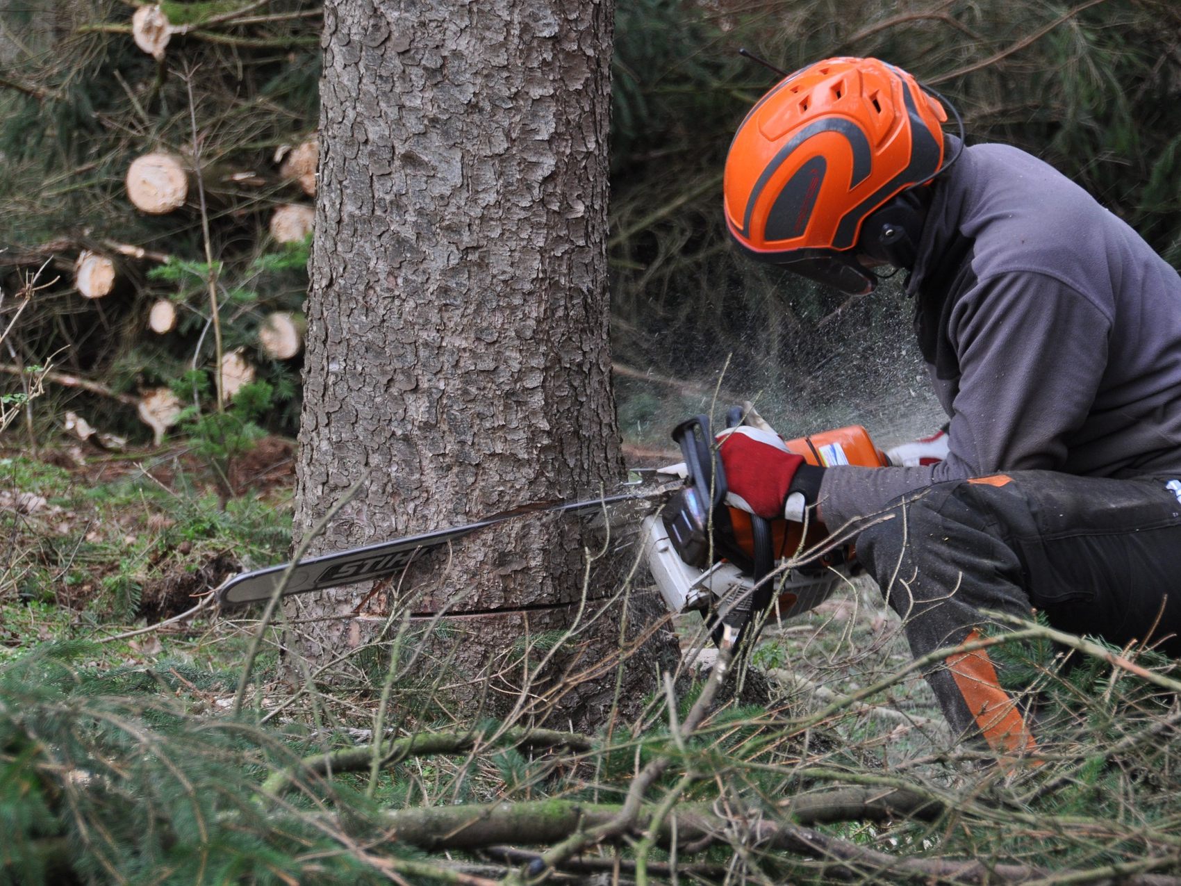 In Hollabrunn kam es zu einem tödlichen Forstunfall.