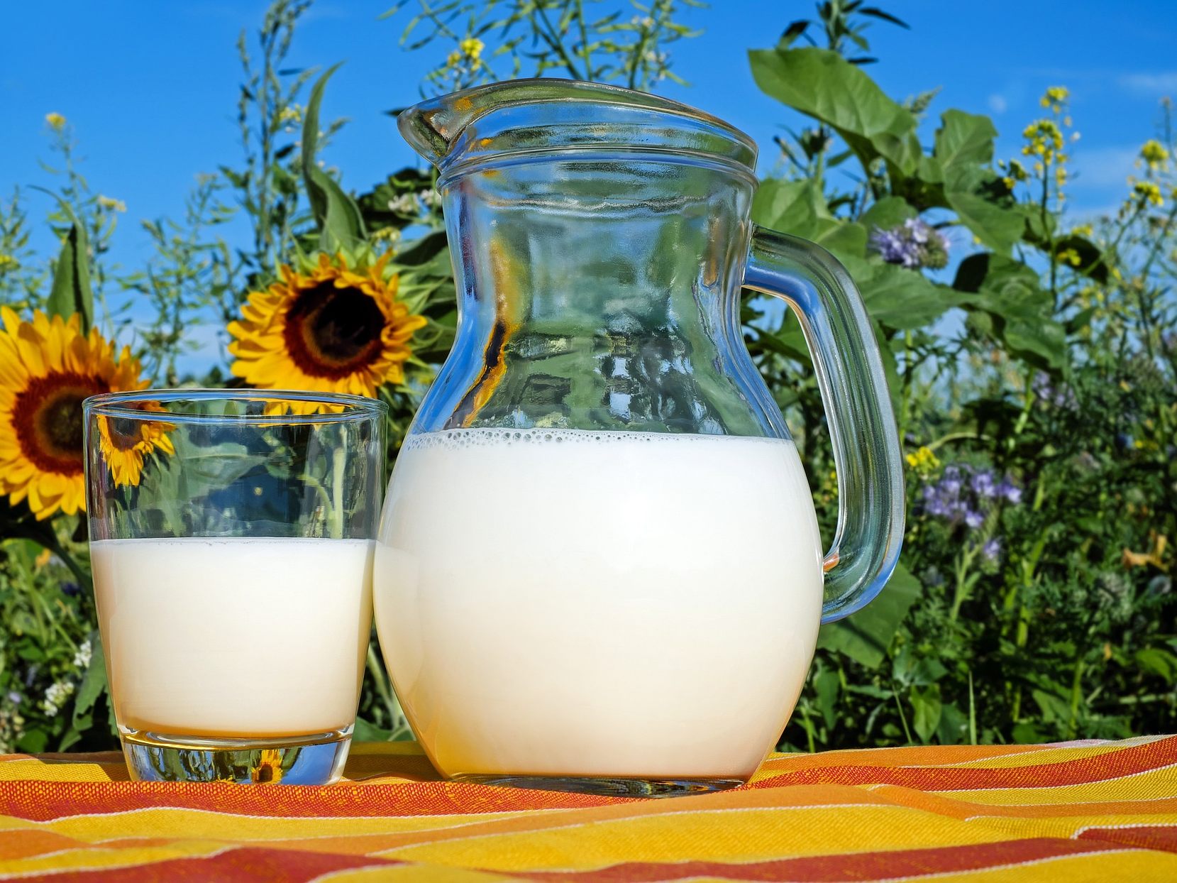 Die Ausfuhren vn Milchprodukten sind wertmäßig auf einem neuen Höchststand.