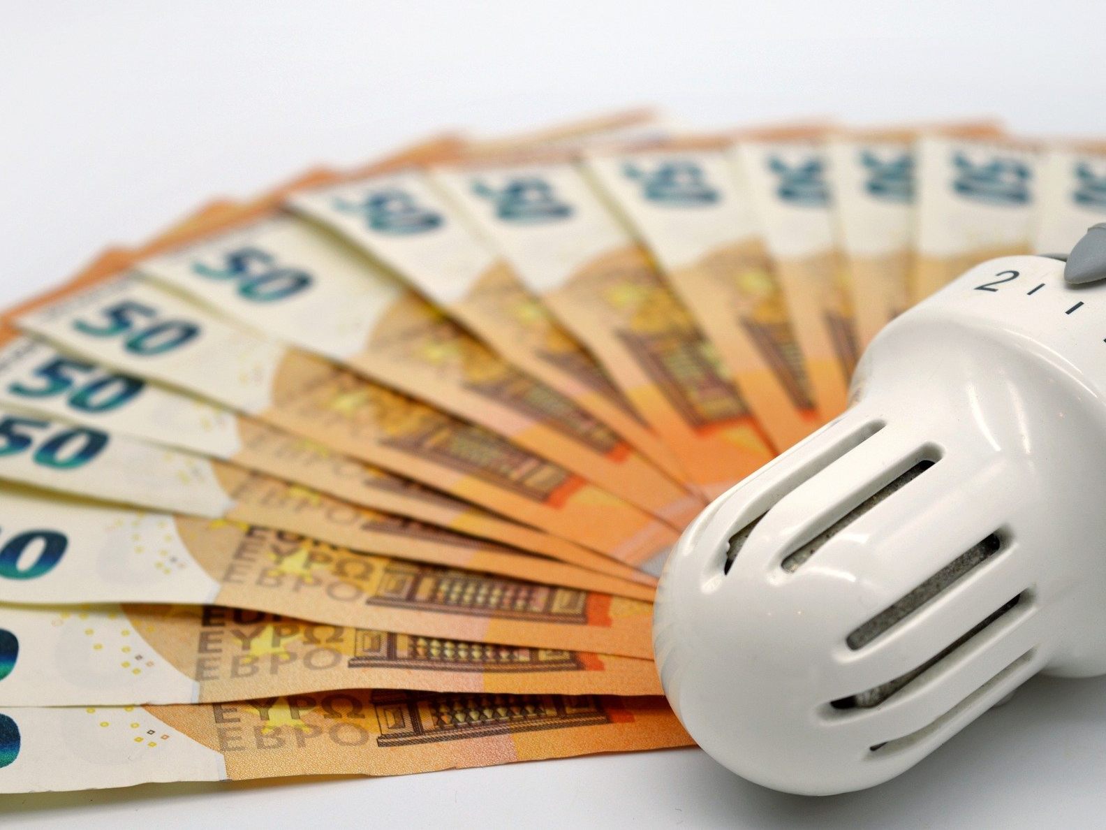 Die hohen Energiepreise und der Arbeitskräftemangel machen österreichischen Jungunternehmern die größten Sorgen.
