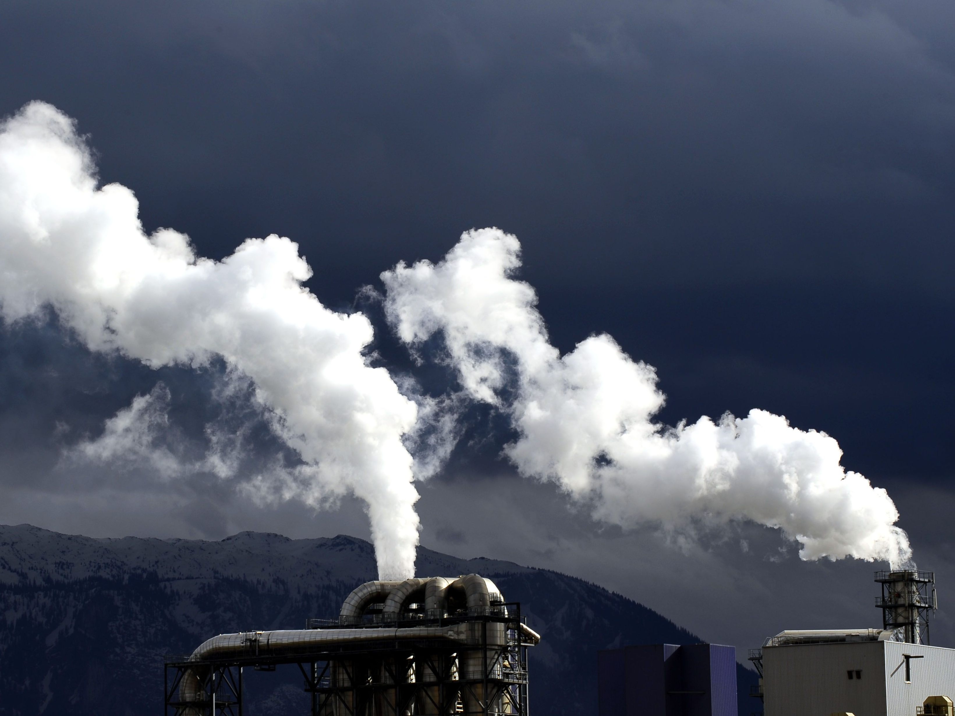 Der Klimajugendrat drängt auf mehr Tempo und Mut beim Klimaschutz. Der Klimajugendrat drängt auf mehr Tempo und Mut beim Klimaschutz.