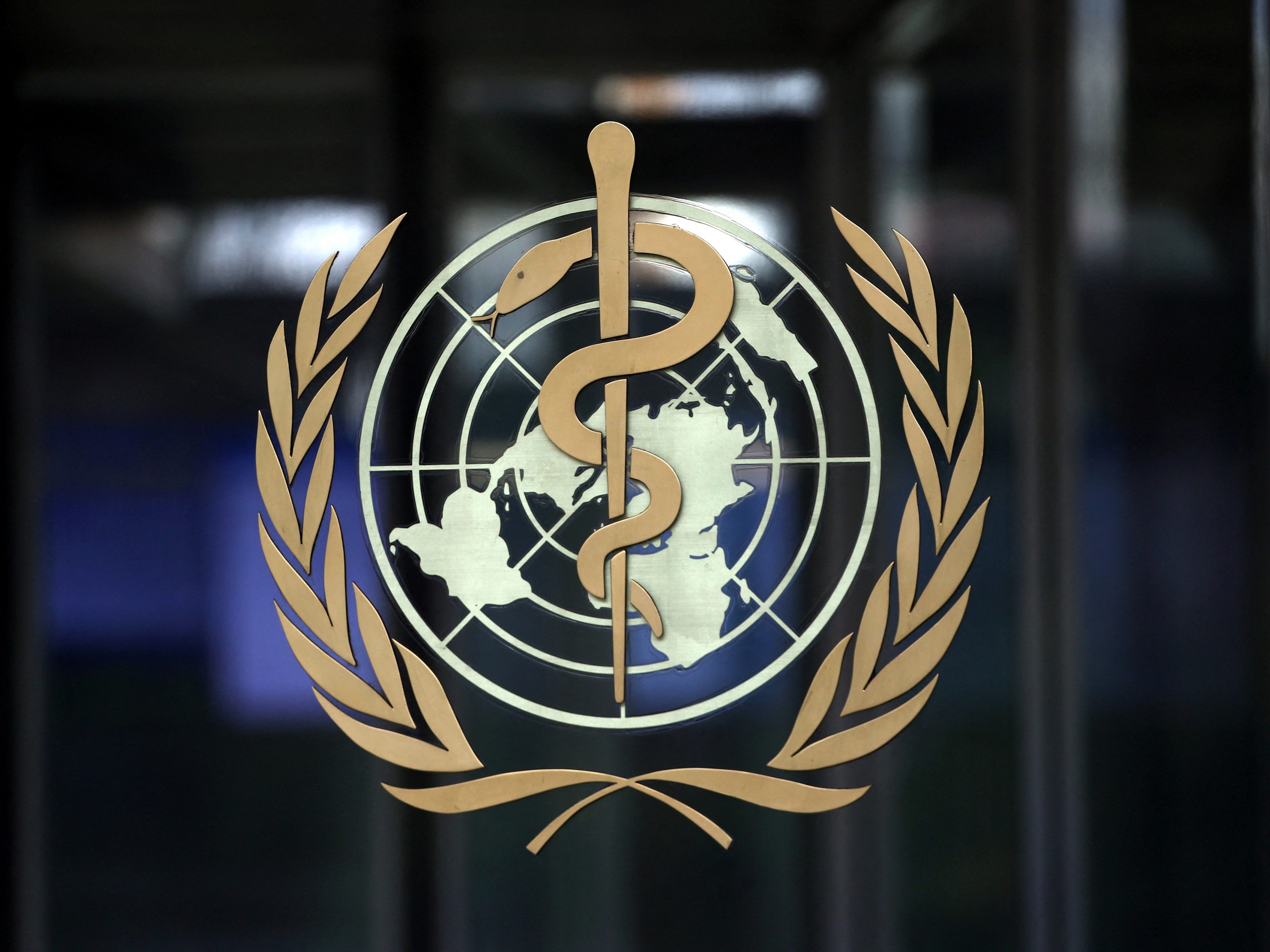 WHO mit Warnung vor Marburg-Virus in Äquatorialguinea. WHO mit Warnung vor Marburg-Virus in Äquatorialguinea.