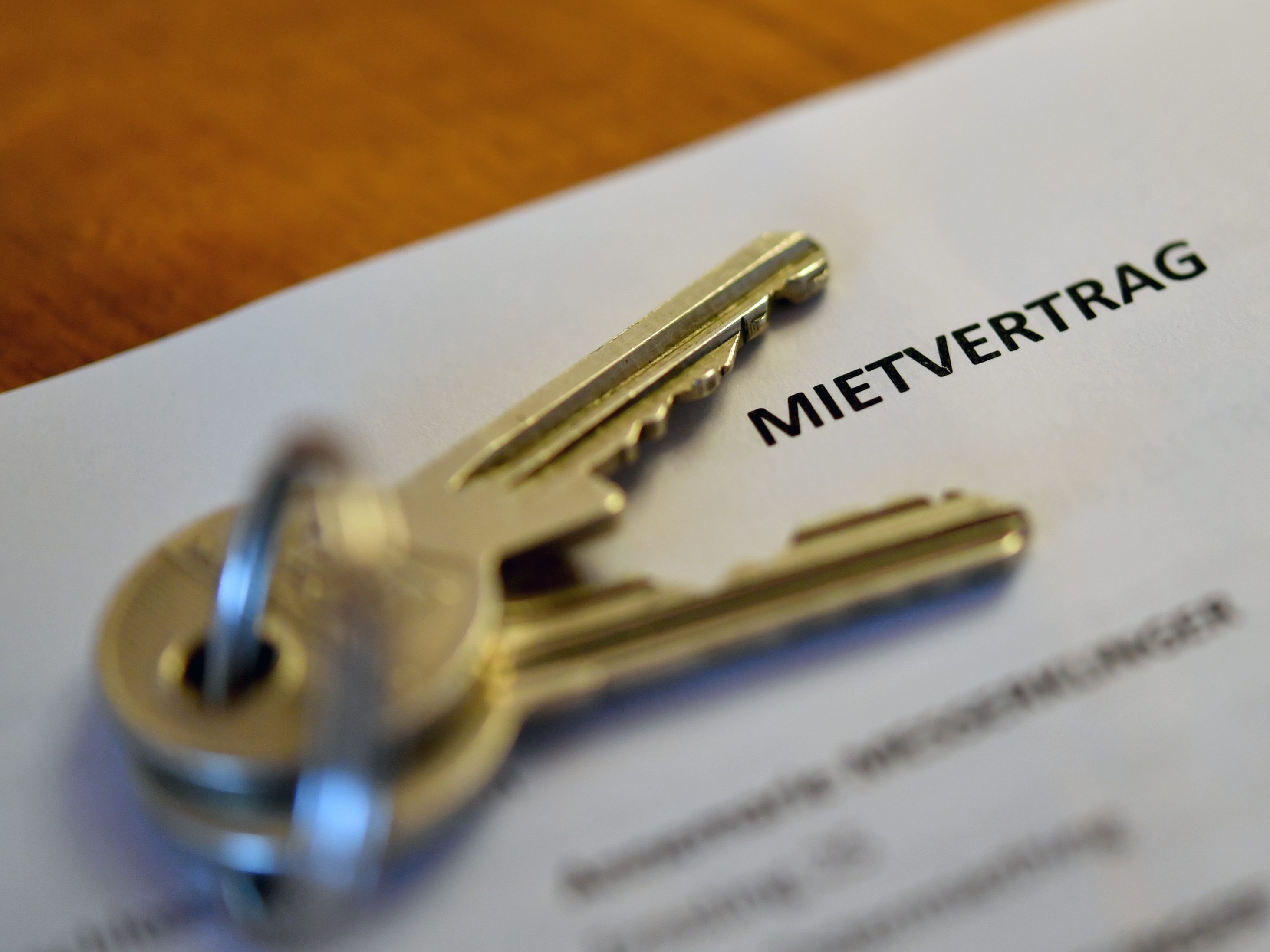Laut Arbeiterkammer gäbe es in fast jedem Mietvertrag gesetzeswidrige Klauseln.