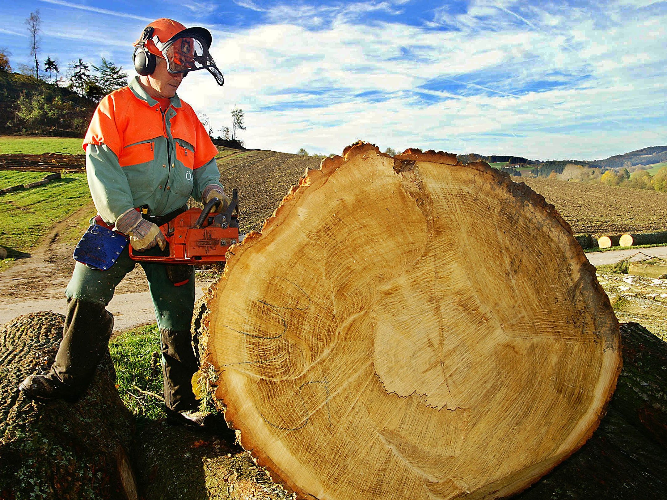 Mitarbeiter der Holz- und Sägeindustrie bekommen deutlich mehr Geld.