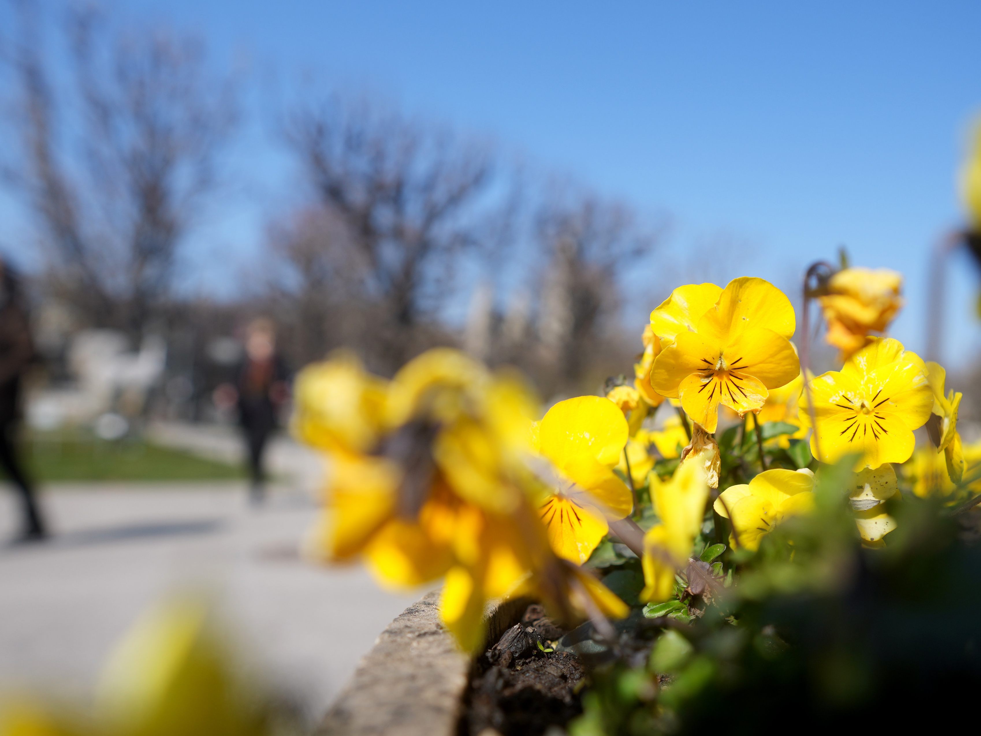 Das Wetter bringt auch diese Woche frühlingshafte Temperaturen und Sonne bis zum Freitag. Das Wetter bringt auch diese Woche frühlingshafte Temperaturen und Sonne bis zum Freitag.