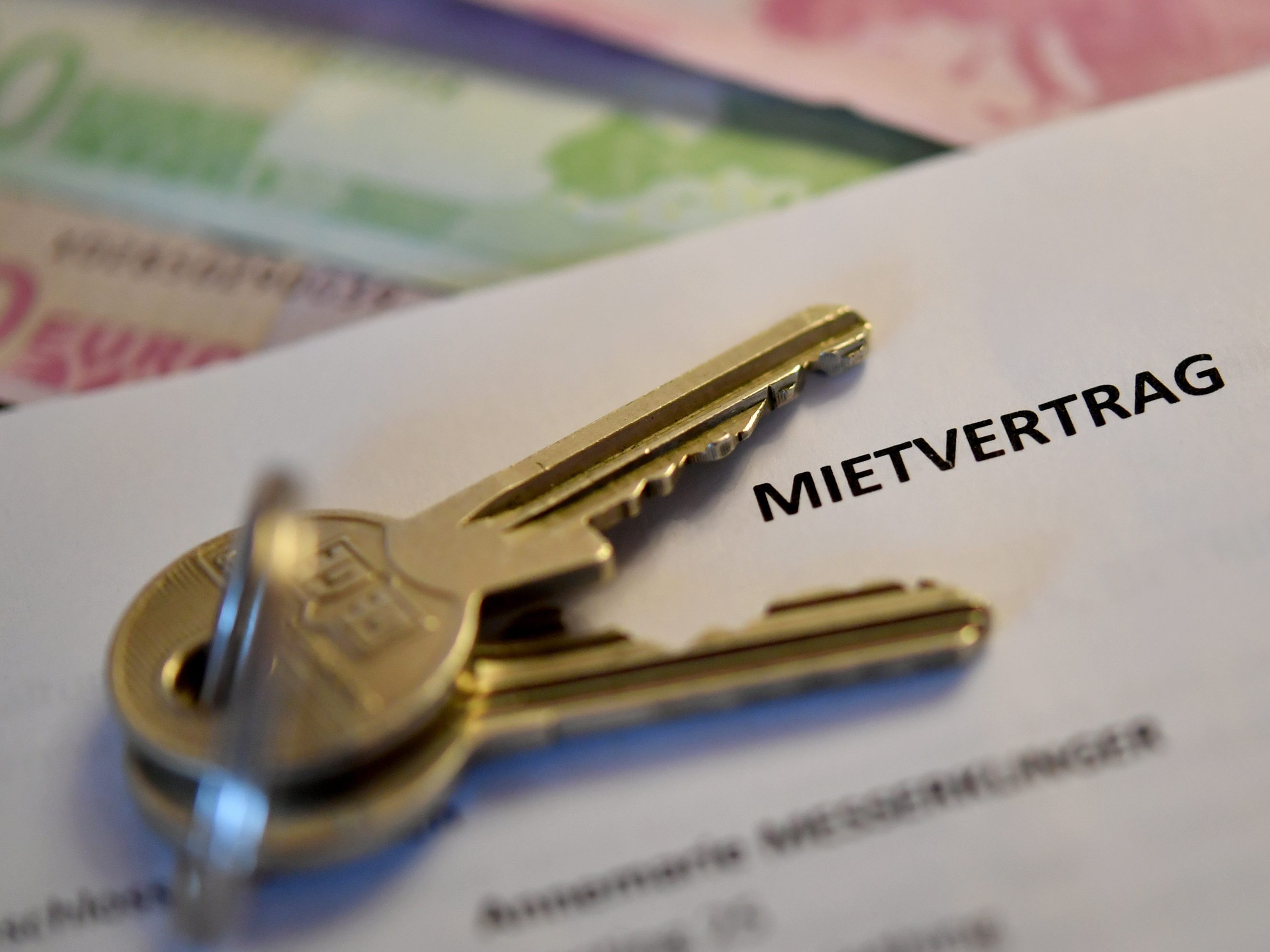 Laut Momentum Institut könnte eine Mietpreisbremse auch die Inflation bremsen. Laut Momentum Institut könnte eine Mietpreisbremse auch die Inflation bremsen.