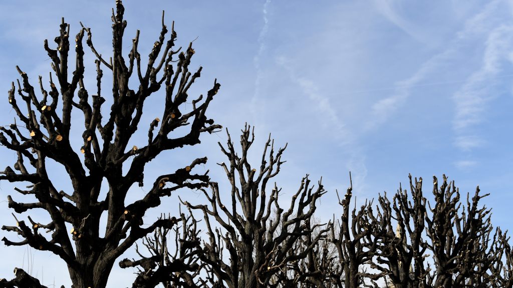 LIVE Beach Volleyball WM 2017 in Wien Alle Ergebnisse und Bilder