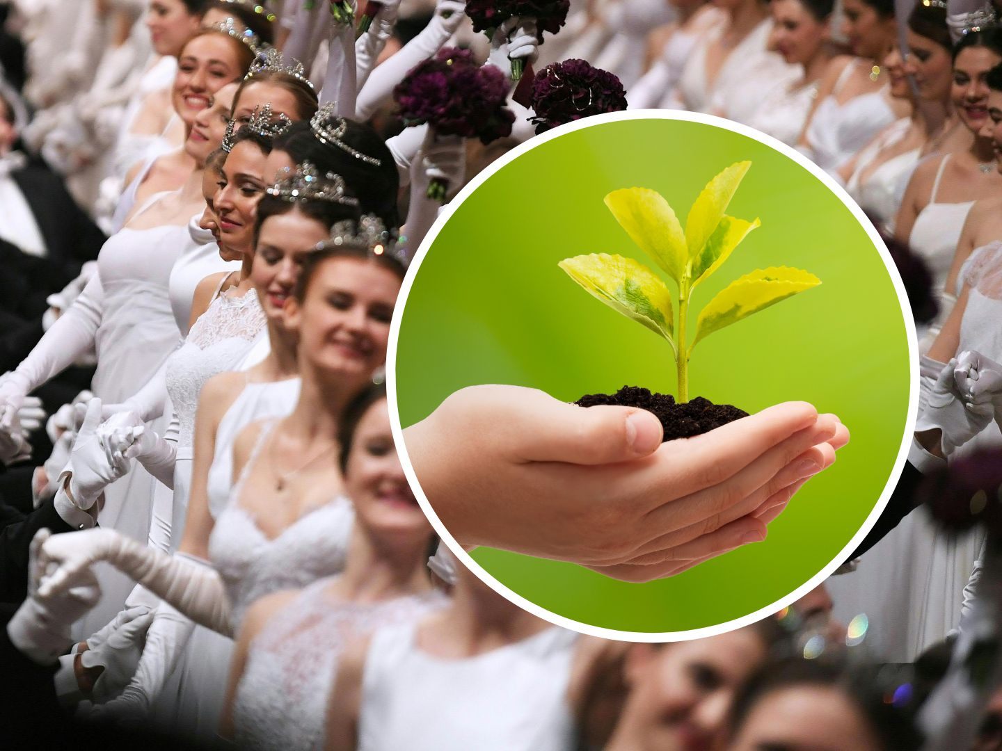 Der Wiener Opernball soll zum "Green Event" werden. Der Wiener Opernball soll zum "Green Event" werden.