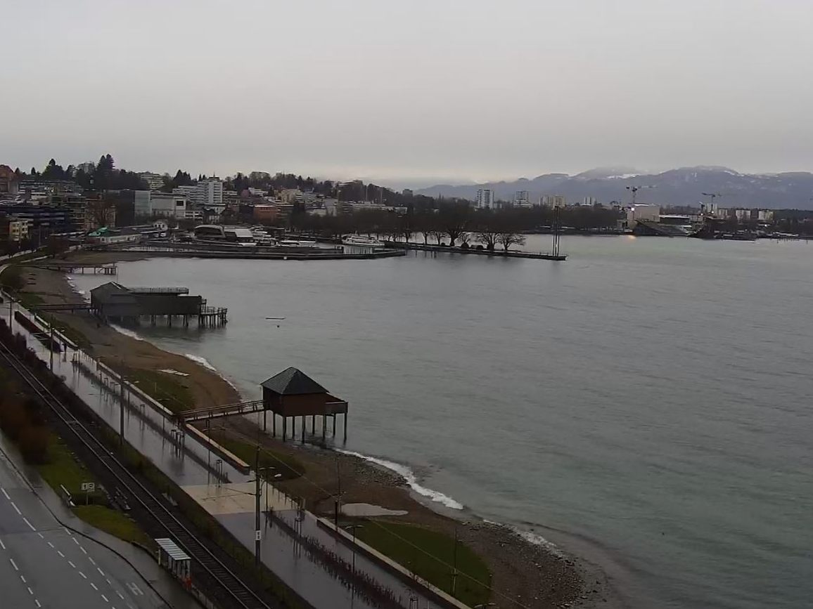 Blick auf den Bodensee und Bregenz.