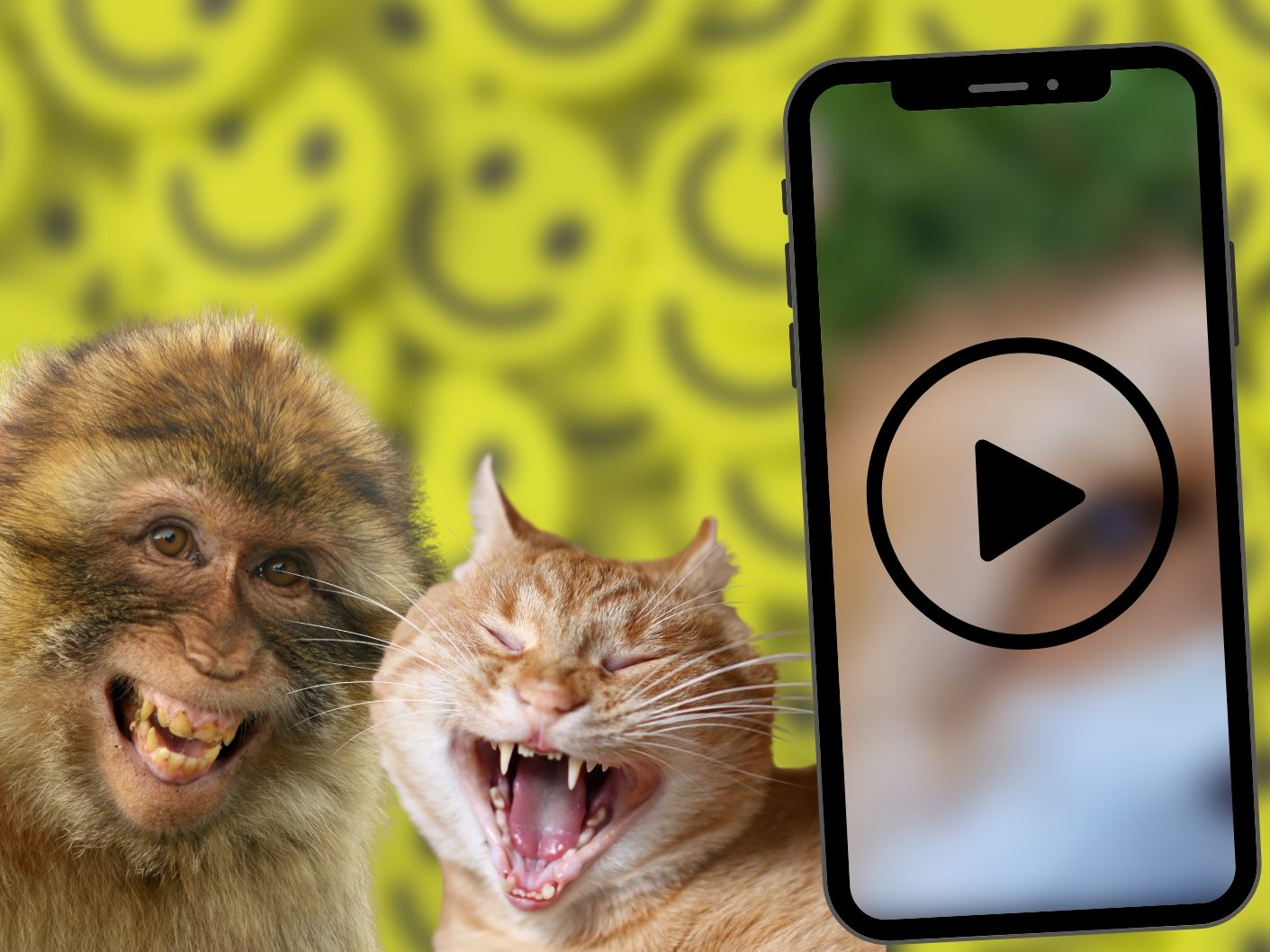 Anscheinend müssen nicht nur Menschen lachen, wenn sie gekitzelt werden. (Symbolbild)