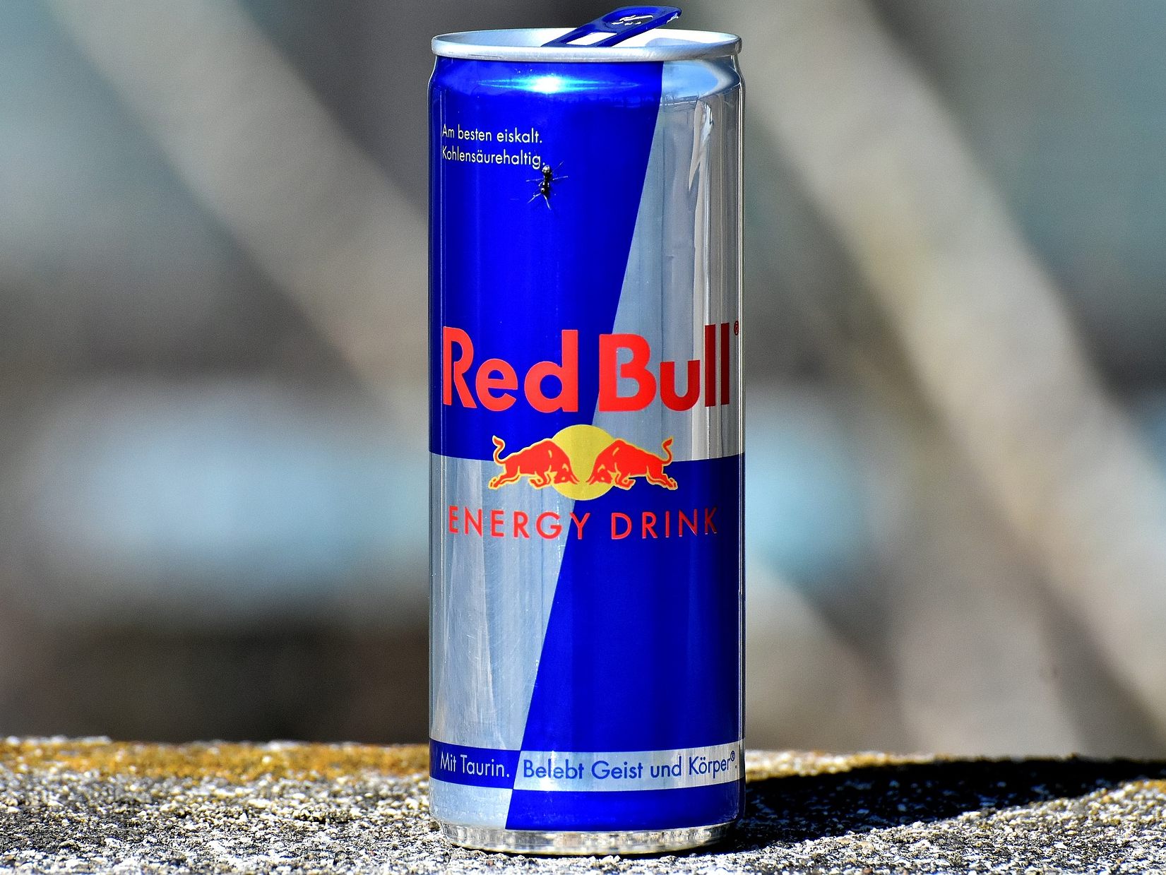 Red Bull streitet mit sardischem Weinbauern um das Logo.