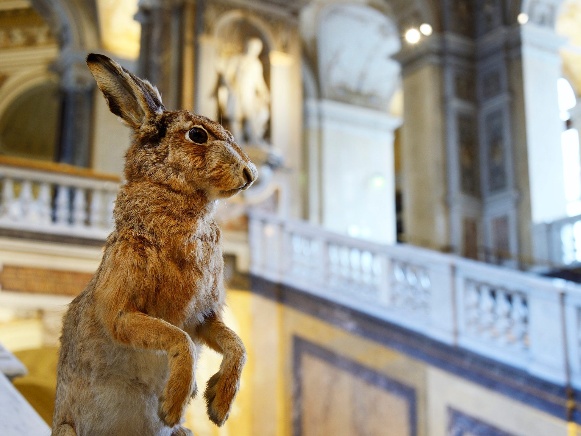 Zu Ostern gibt es im Naturhistorischen Museum Wien ein besonderes Familien-Programm.