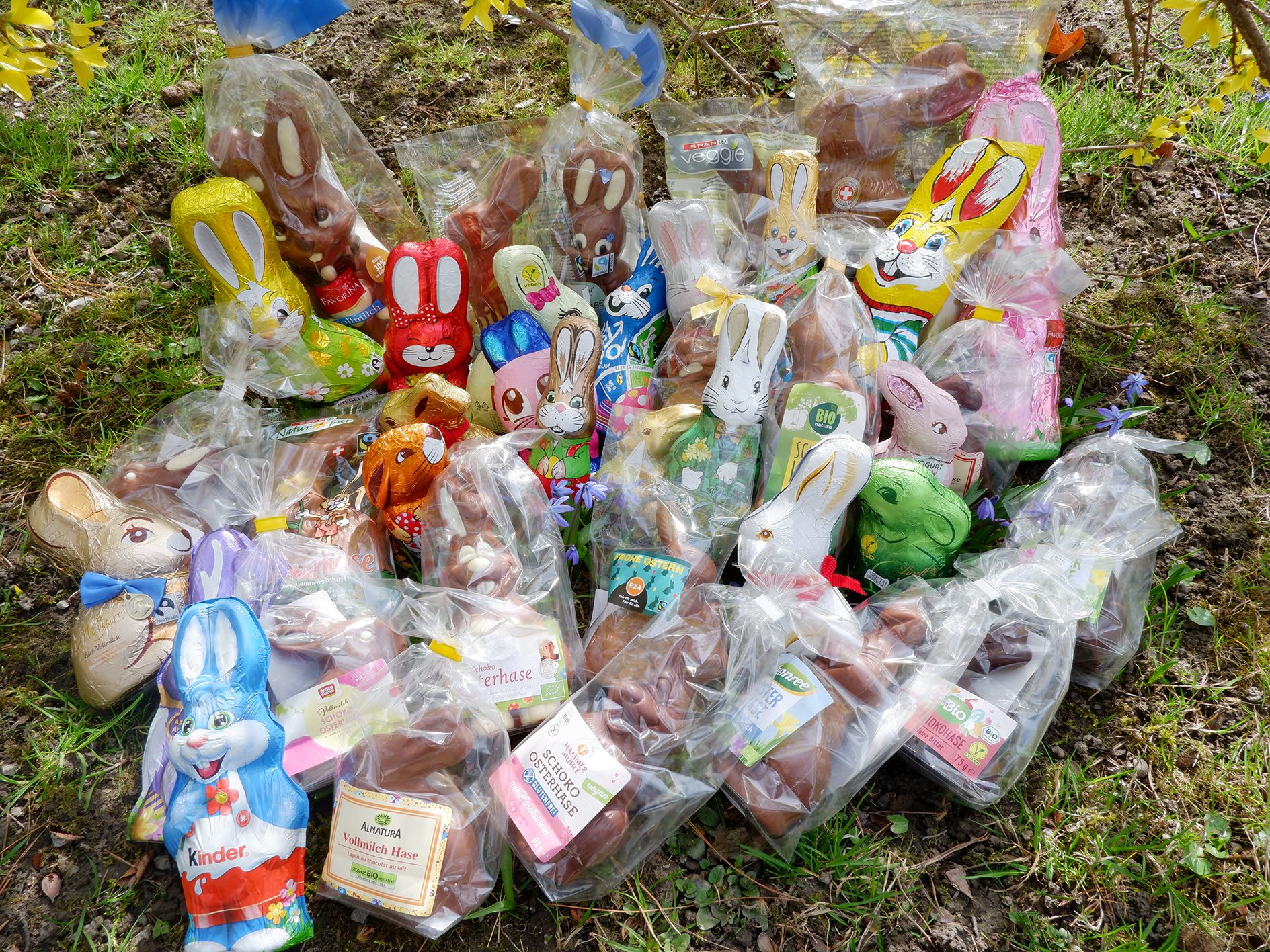 33 Schoko-Osterhasen aus heimischen Supermärkten wurden überprüft. 33 Schoko-Osterhasen aus heimischen Supermärkten wurden überprüft.