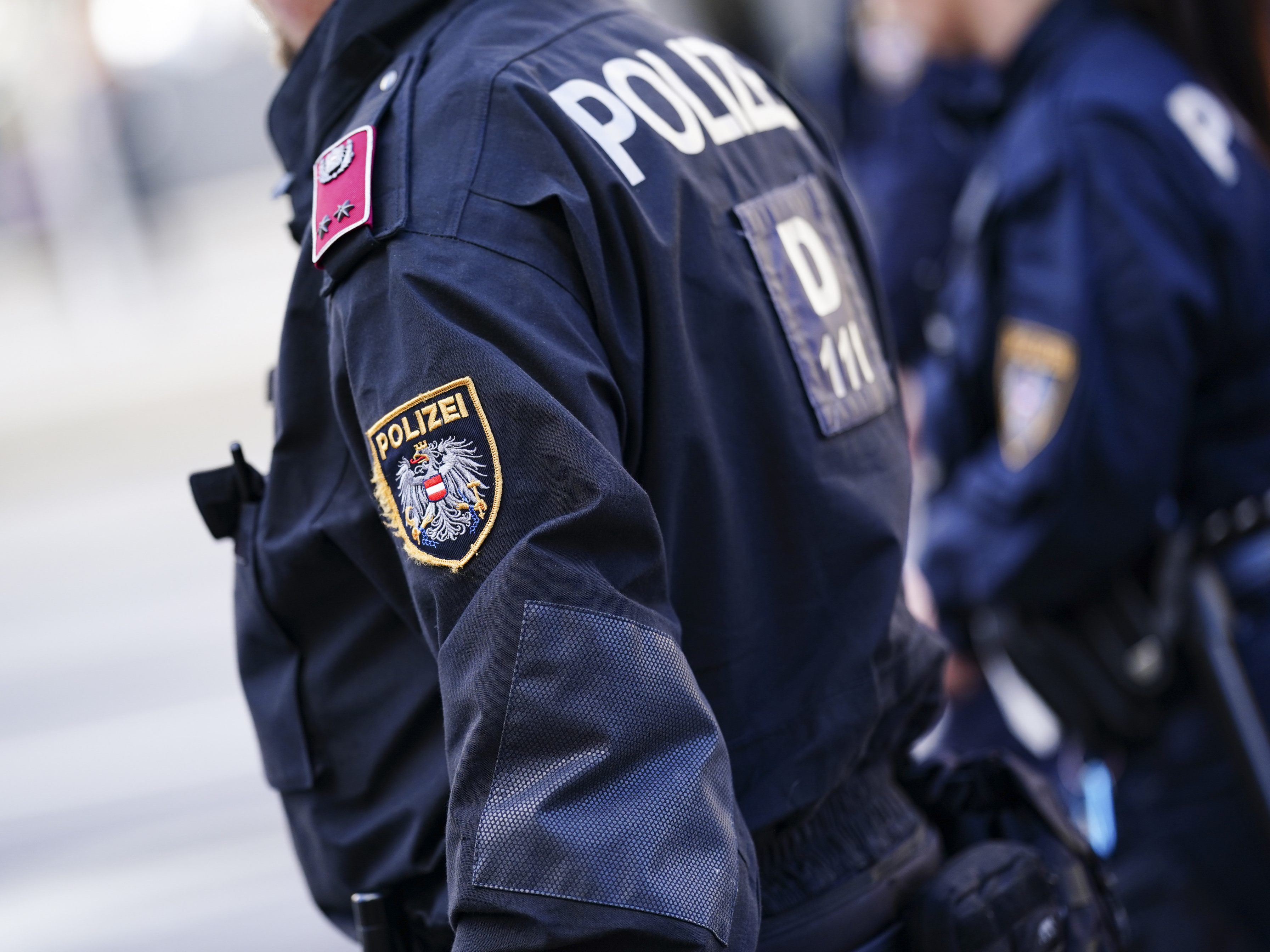 Die Polizei hat einen gesuchten Mann in Wien verhaftet. Die Polizei hat einen gesuchten Mann in Wien verhaftet.
