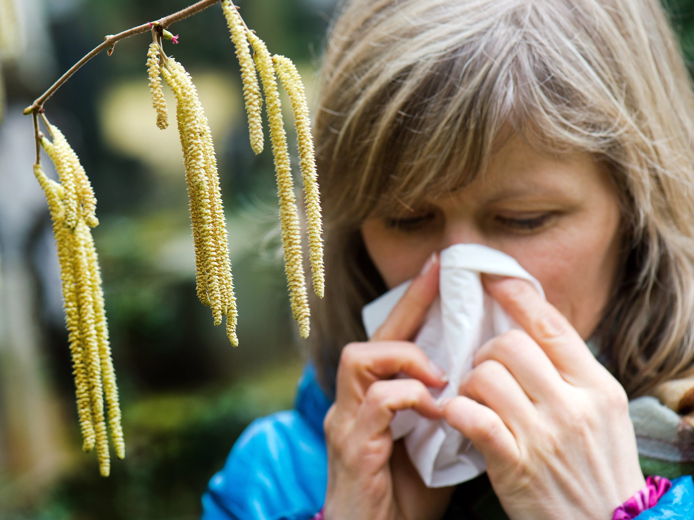 Die Pollensaison hat bereits im Jänner begonnen. Die Pollensaison hat bereits im Jänner begonnen.