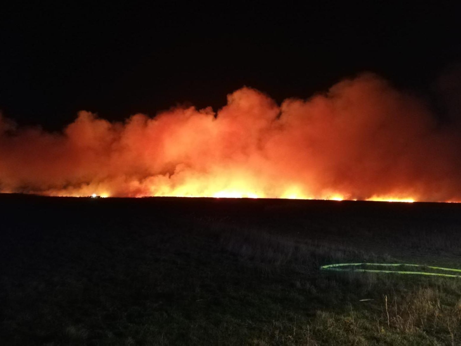 Am Neusiedler See kam es erneut zu einem Schilfbrand.