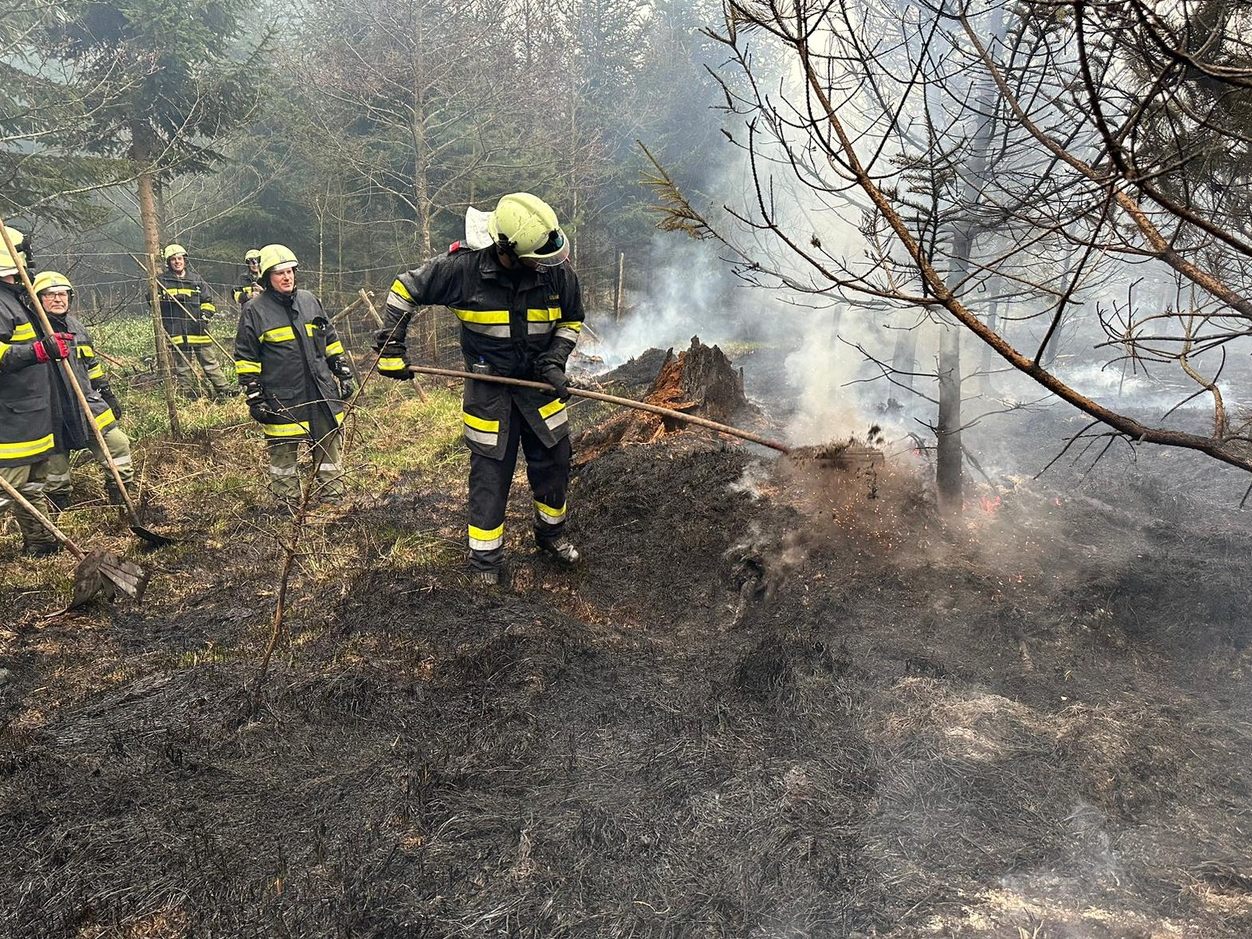 Der Waldbrand in Karlstetten wurde durch eine Zigarette ausgelöst.