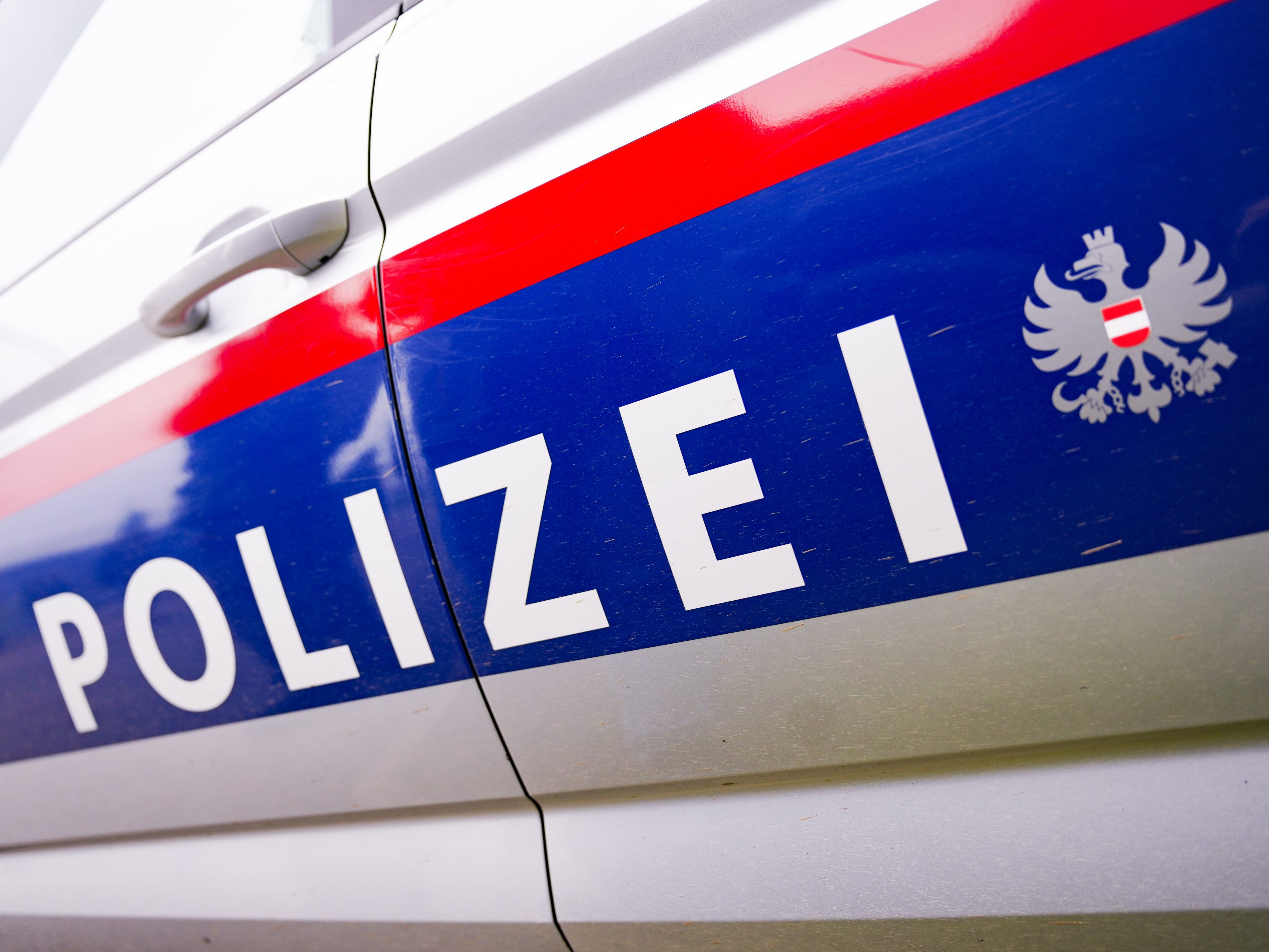 Nach dem Fund einer Leiche in Kärnten sind drei Verdächtige ausgeforscht worden. Nach dem Fund einer Leiche in Kärnten sind drei Verdächtige ausgeforscht worden.