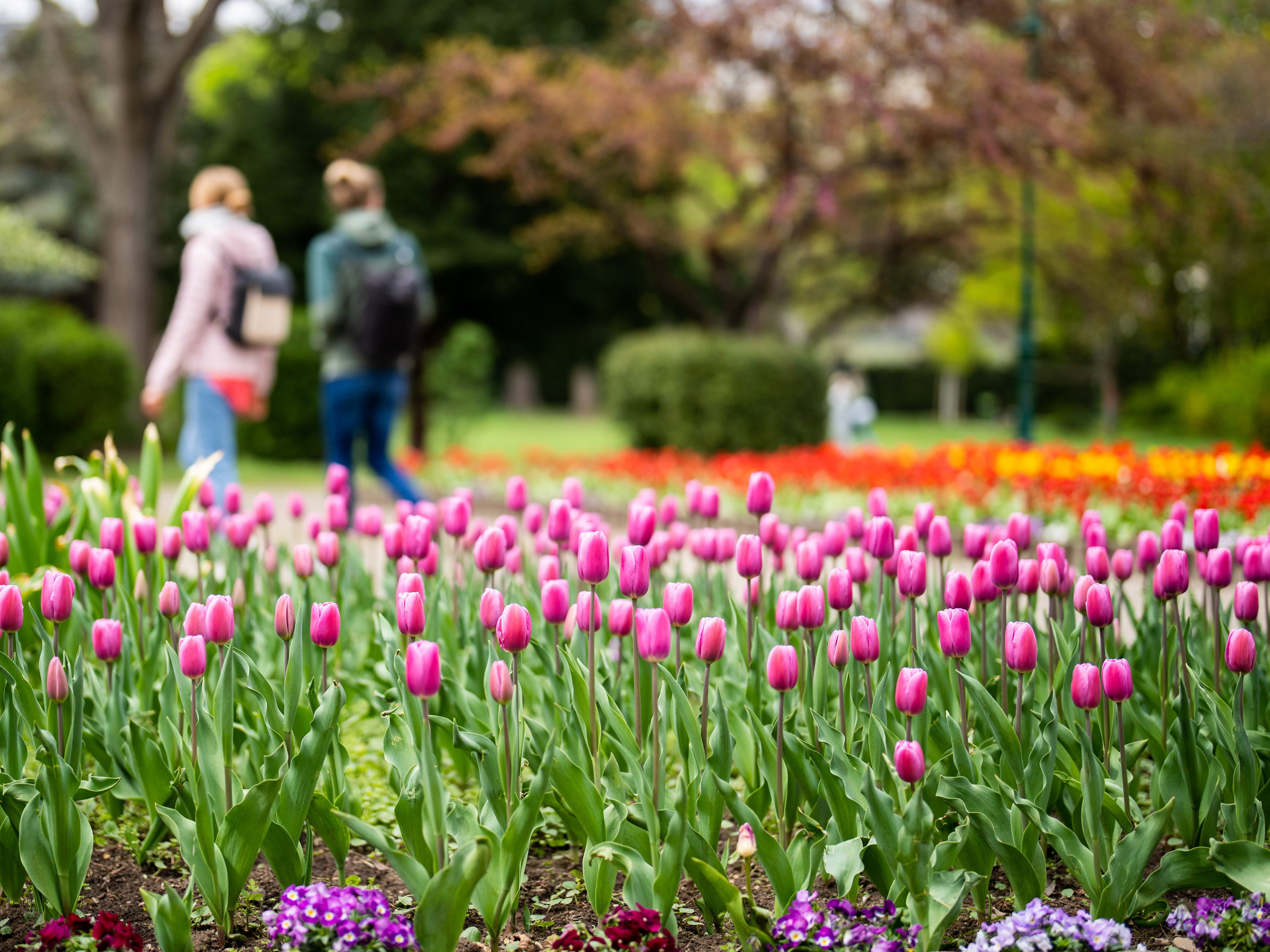 Am 20. März ist Frühlingsbeginn.