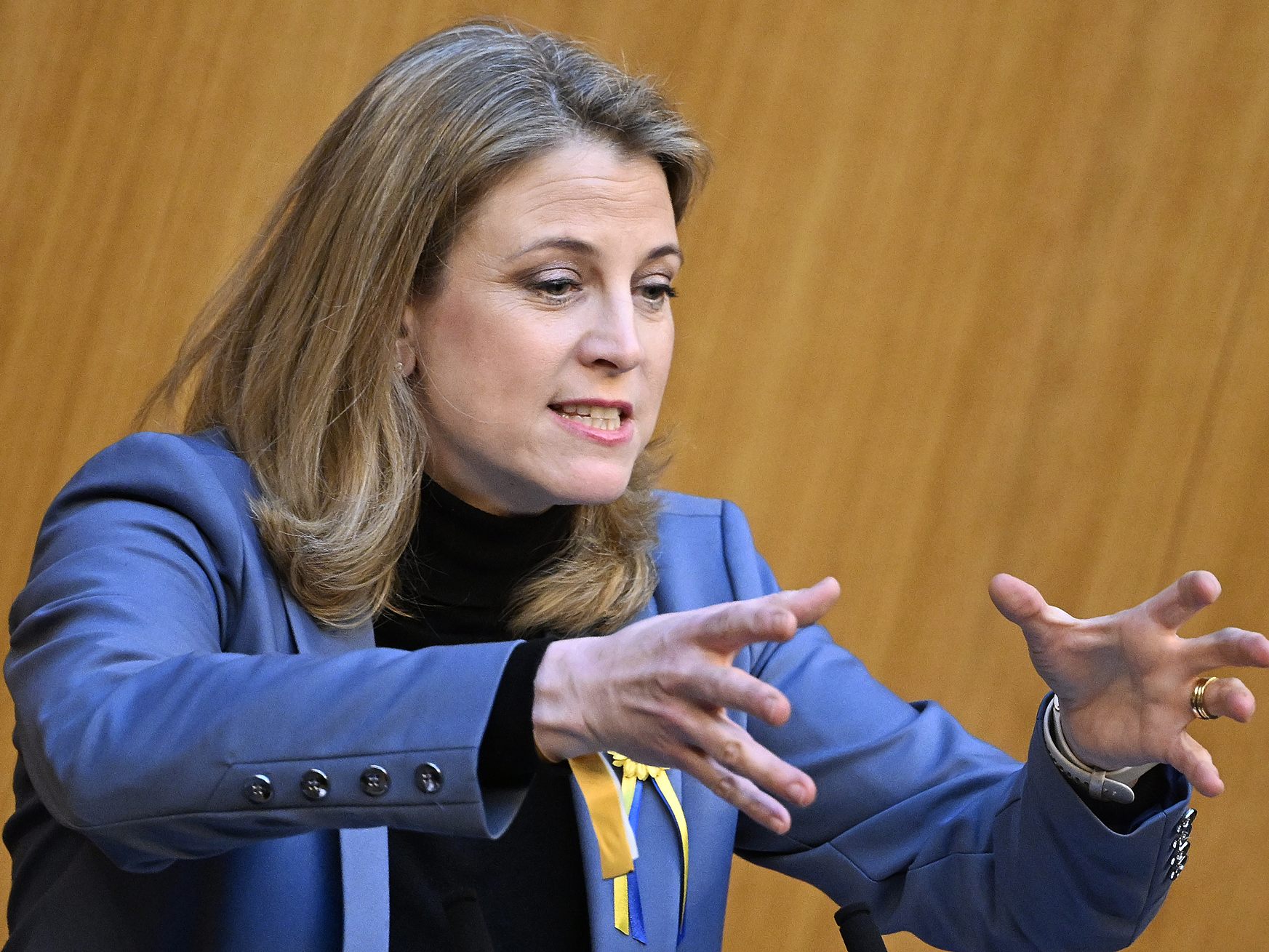 Beate Meinl-Reisinger rechnete hart mit ÖVP und SPÖ ab. Beate Meinl-Reisinger rechnete hart mit ÖVP und SPÖ ab.