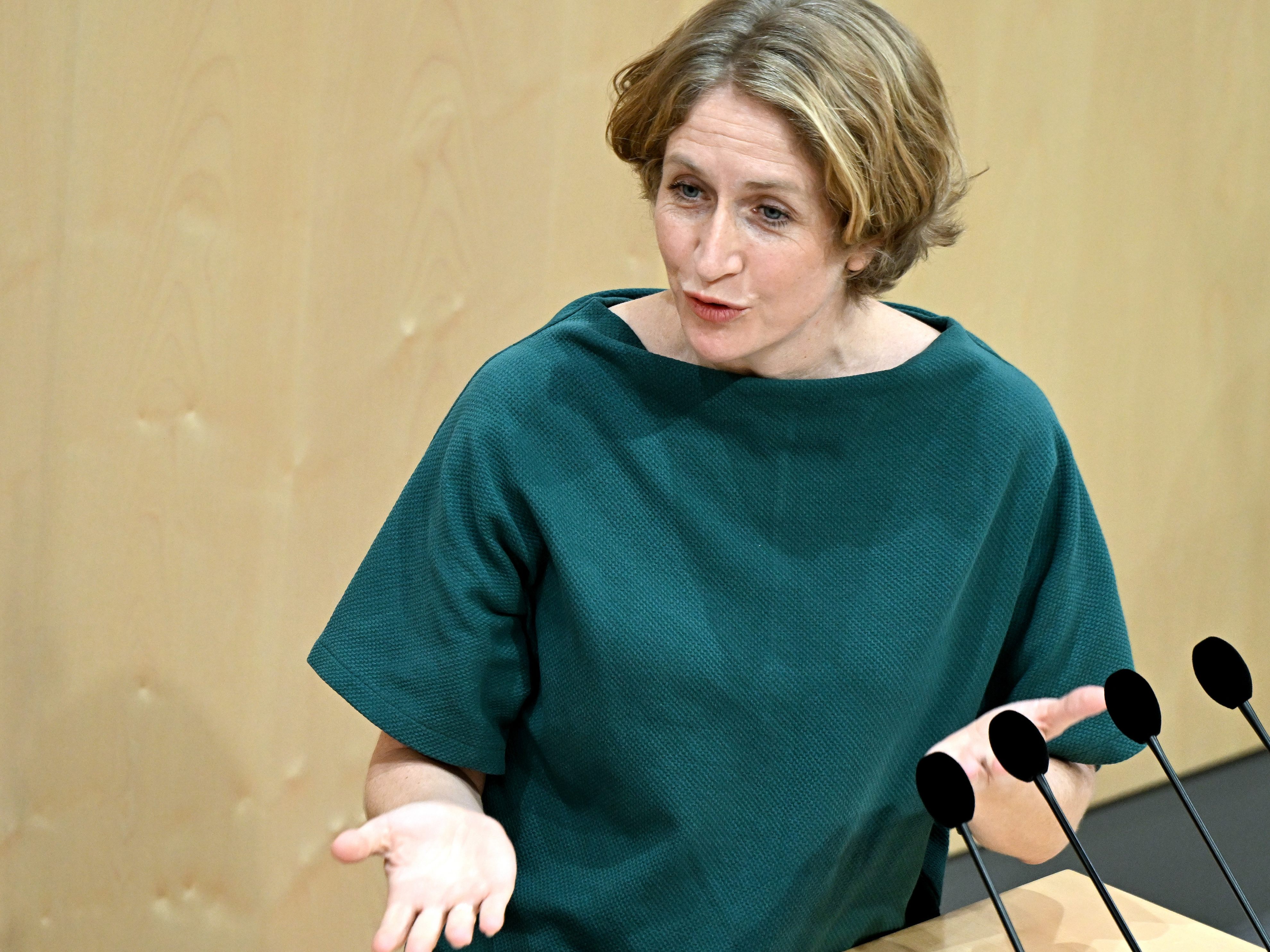 Langfristig brauche es für Fraktionsführerin Krisper dringend Reformen. Langfristig brauche es für Fraktionsführerin Krisper dringend Reformen.