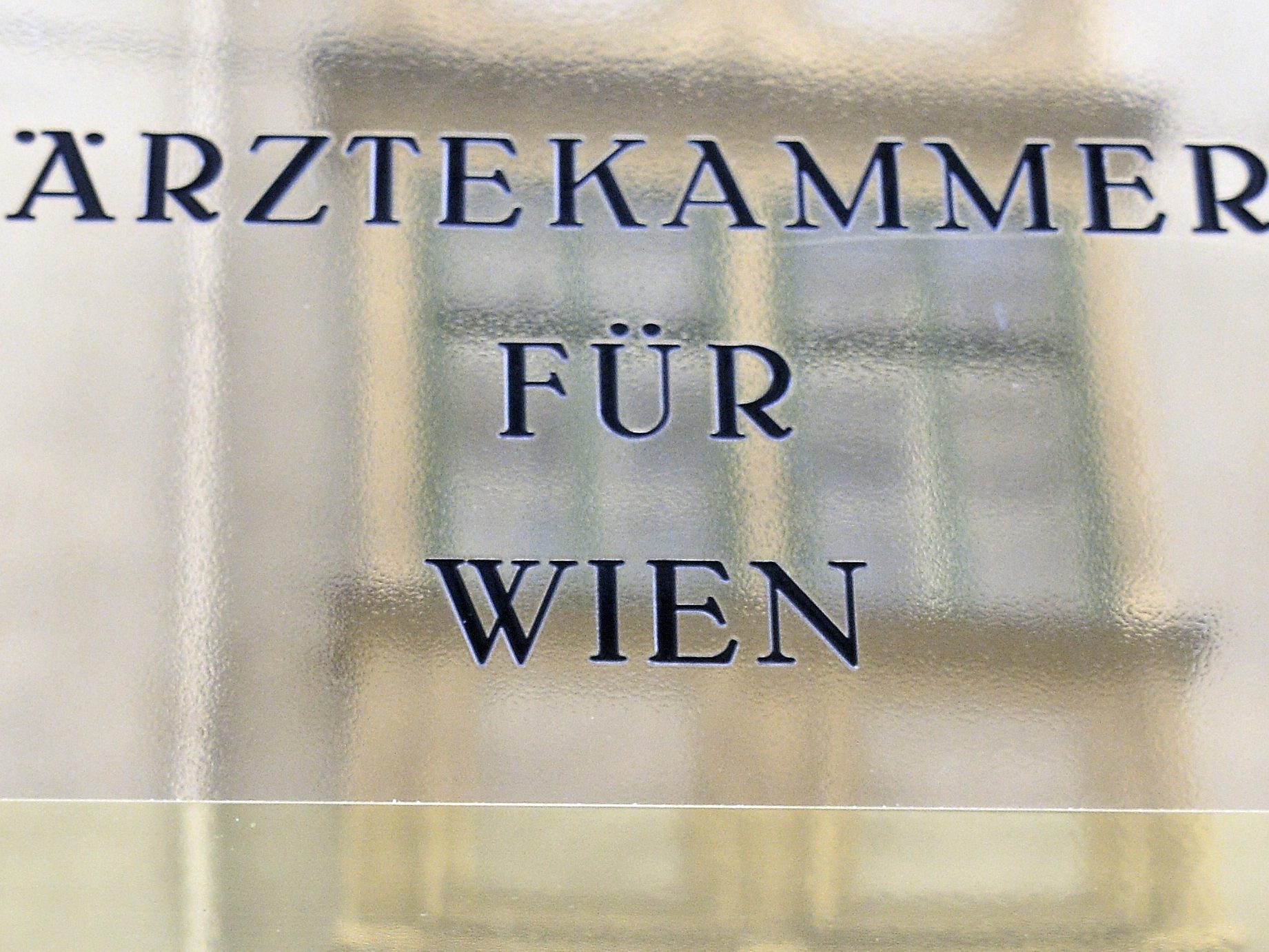 Der Wiener Kurien-Obmannn Huber entging seiner Absetzung knapp.