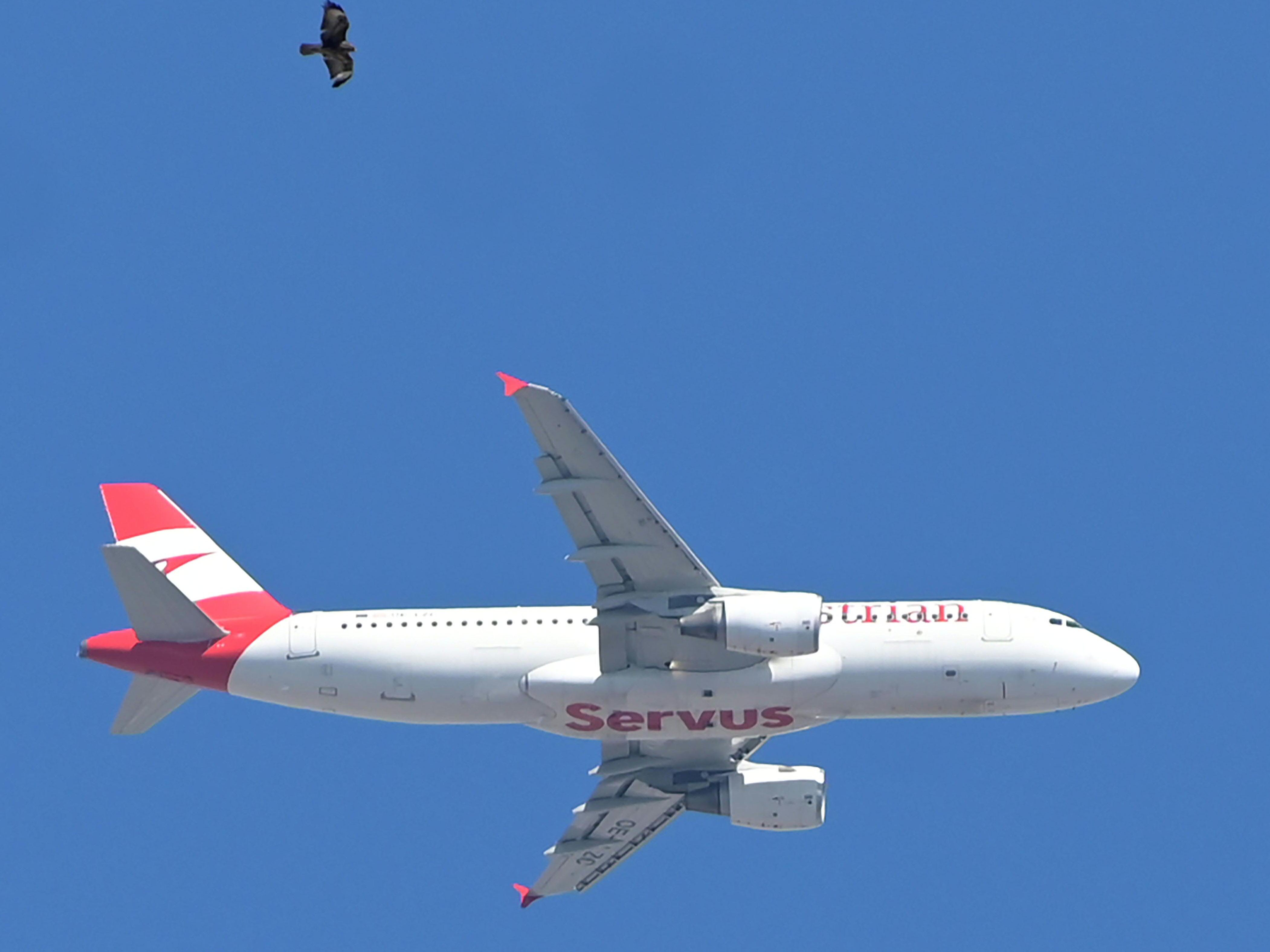 Austrian Airlines konnte das Jahr 2022 mit einem besseren Ergebnis beenden. Austrian Airlines konnte das Jahr 2022 mit einem besseren Ergebnis beenden.