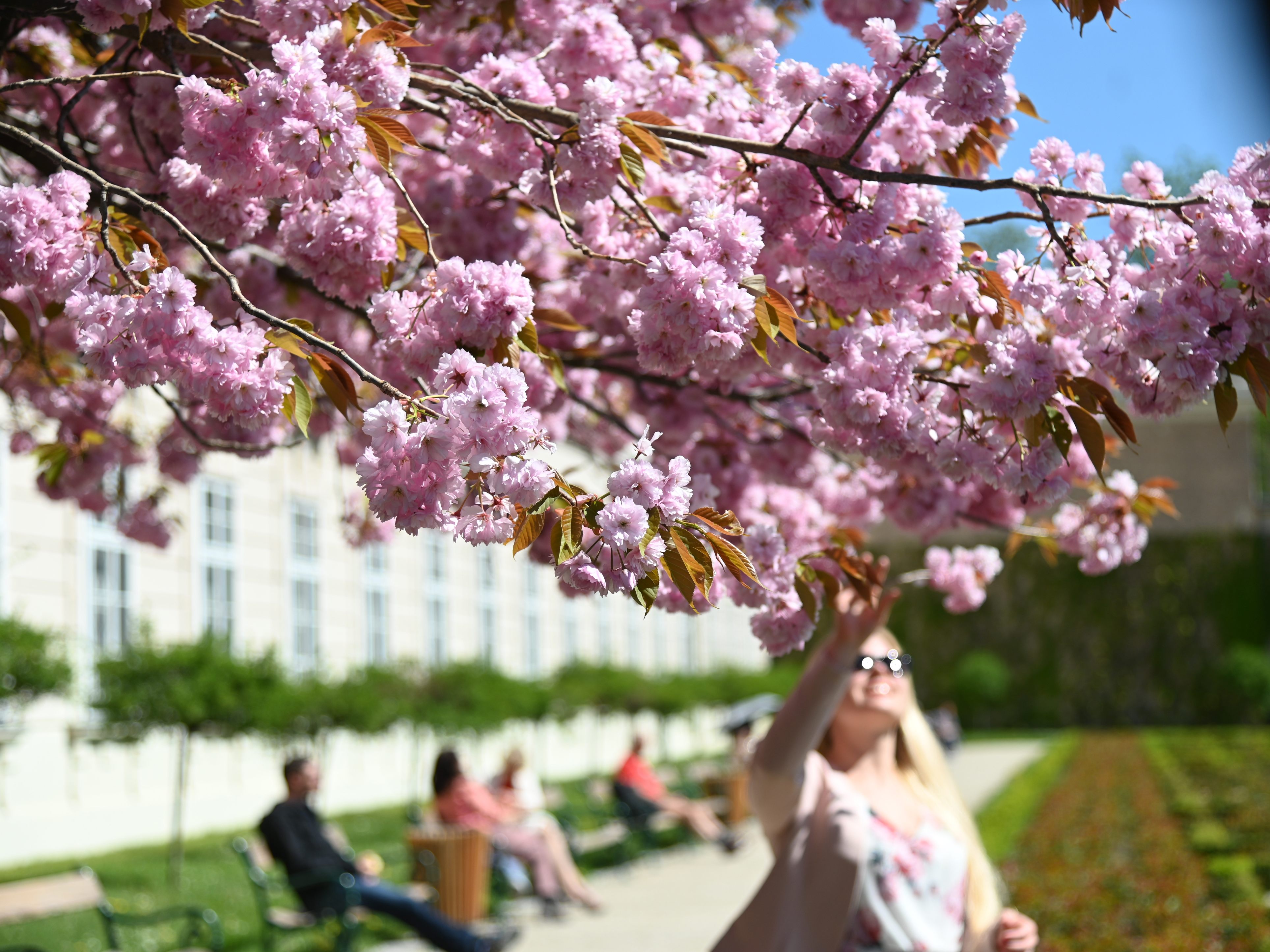 Der Frühling ist da: Kommende Woche wird das Wetter in Österreich mild. Der Frühling ist da: Kommende Woche wird das Wetter in Österreich mild.