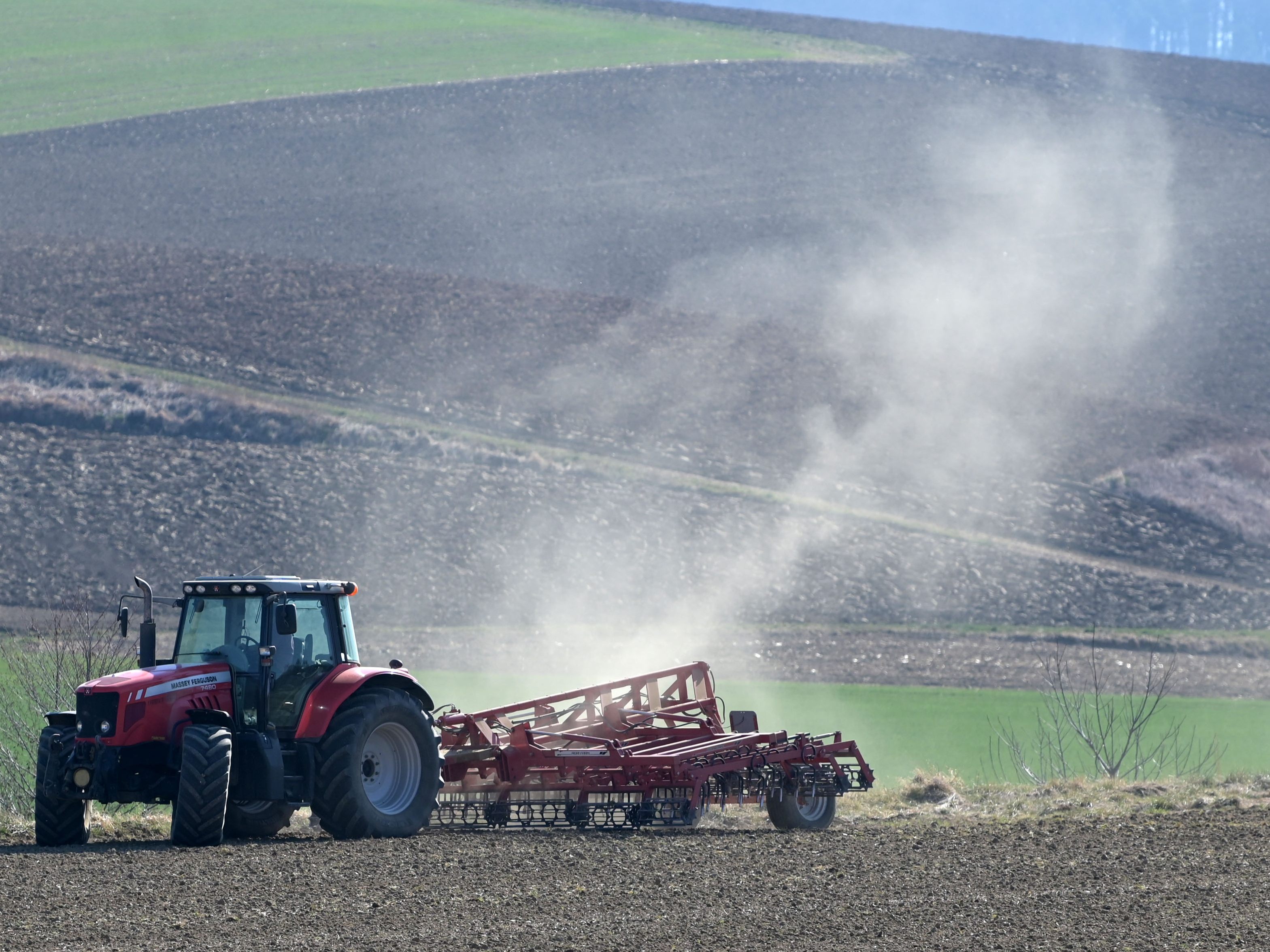 Der Bauernbund erreichte 81 Prozent bei Wiener Landwirtschaftskammer-Wahl. Der Bauernbund erreichte 81 Prozent bei Wiener Landwirtschaftskammer-Wahl.
