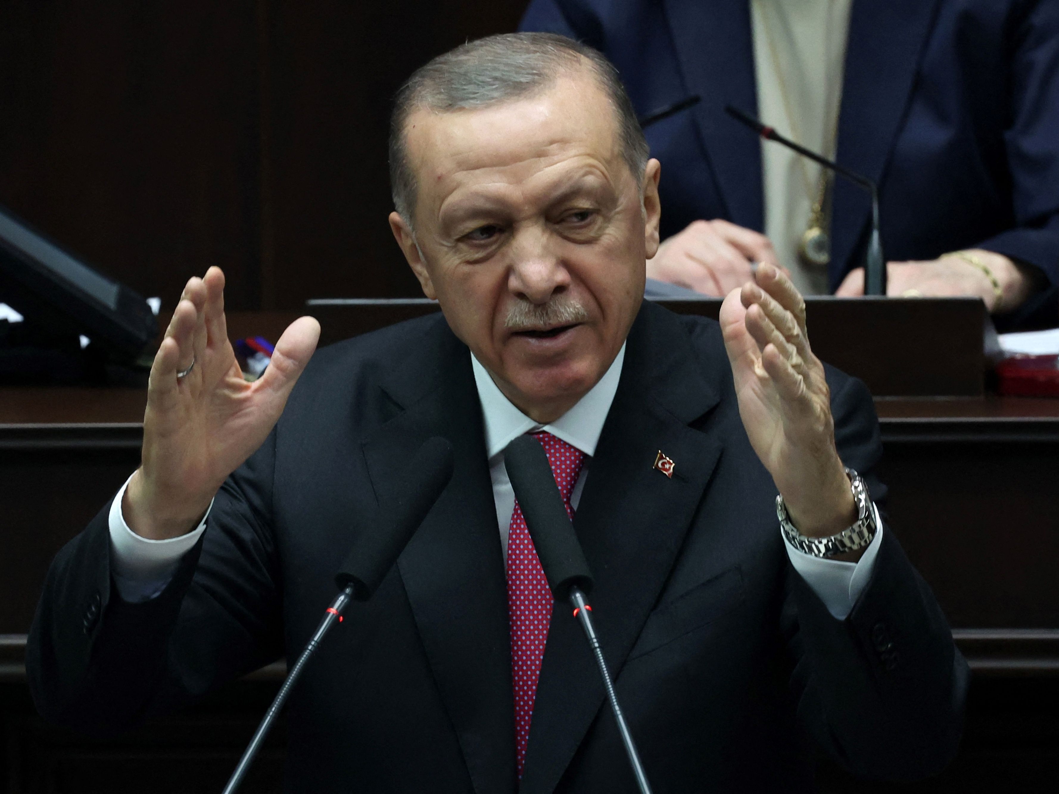 Erdogan hat über den NATO-Beitritt von Finnland entschieden.