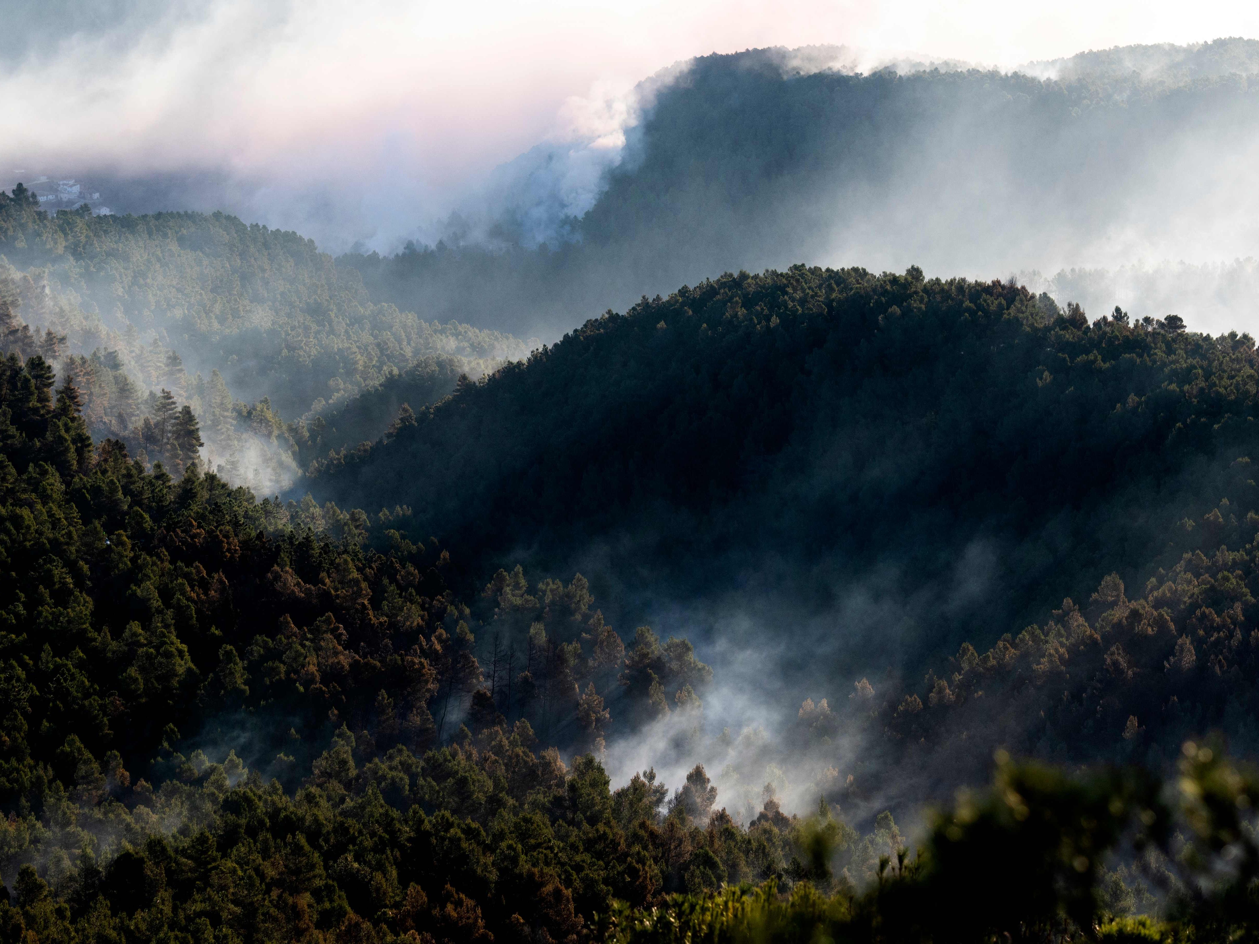Ein veheerender Waldbrand in Spanien hält die Rettungskräfte in Atem. Ein veheerender Waldbrand in Spanien hält die Rettungskräfte in Atem.