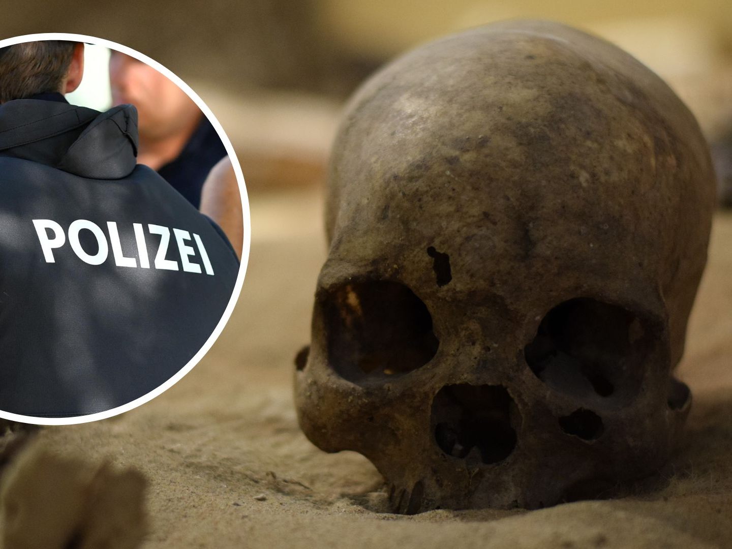 Bei dem Totenkopf-Fund handelt es sich laut Polizei nicht um einen Kriminalfall.