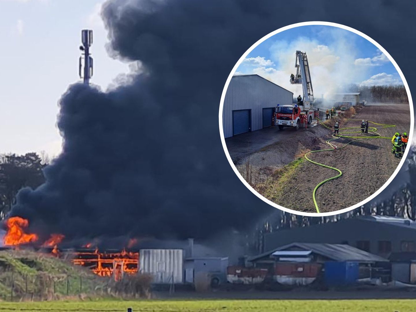 In Niederösterreich kam es zu einem Lagerhallen-Brand. In Niederösterreich kam es zu einem Lagerhallen-Brand.