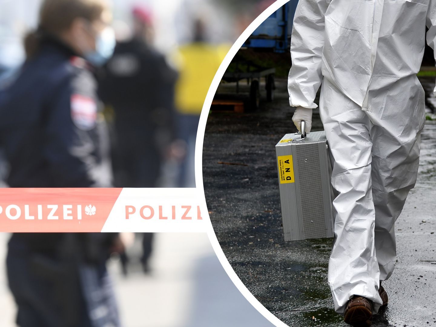 In Wien-Donaustadt wurden zwei Frauen tot aufgefunden. In Wien-Donaustadt wurden zwei Frauen tot aufgefunden.
