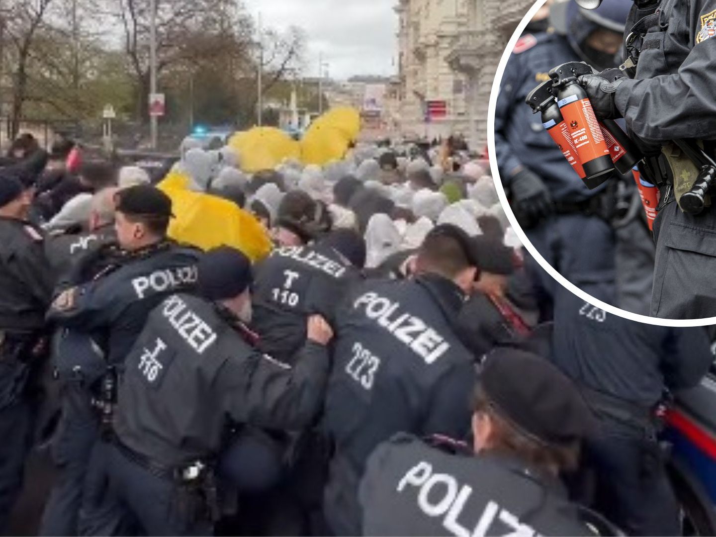 Ein Video zeigt den Zusammenstoß von Aktivisten mit der Polizei.