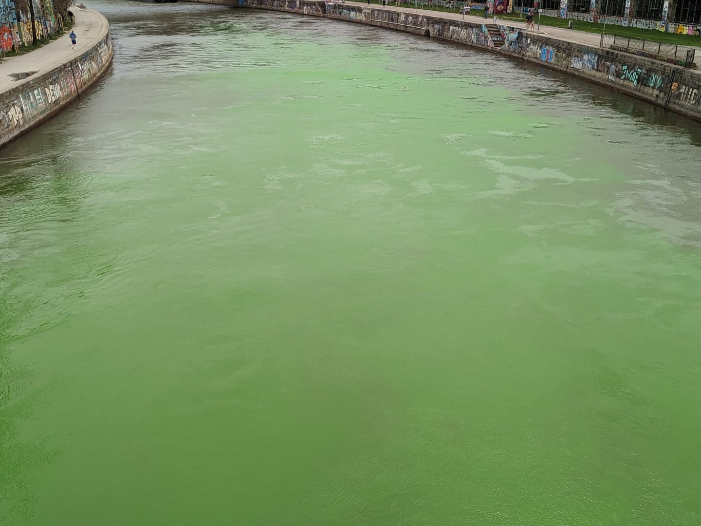Laut Exctinction Rebellion wurde der Donaukanal gefärbt. Laut Exctinction Rebellion wurde der Donaukanal gefärbt.
