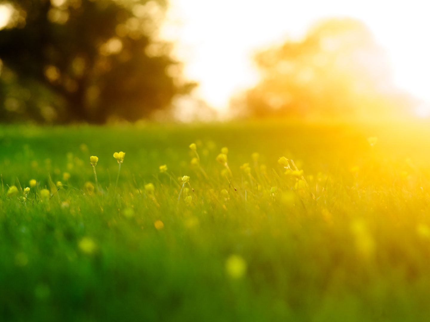 Der Frühling kämpft sich nun allmählich durch in Österreich.