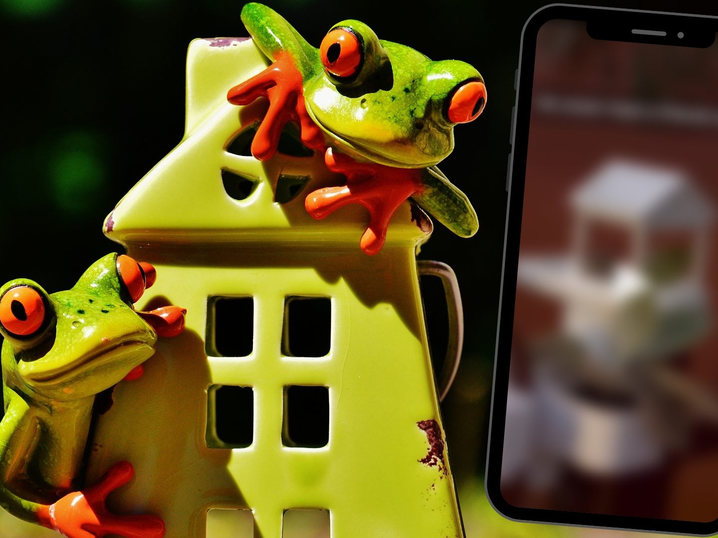 Australier baut seinen Lieblingen ein Haus Australier baut seinen Lieblingen ein Haus