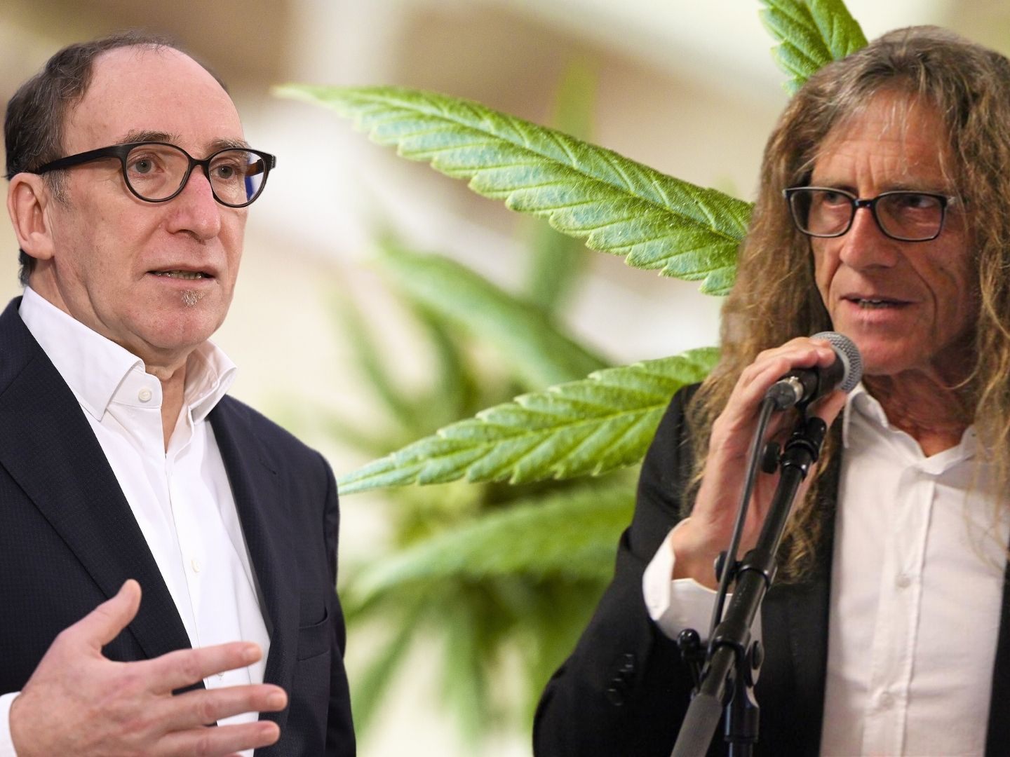Gesundheitsminister Johannes Rauch (l., Grüne) wird von Bernhard Amann scharf kritisiert. Gesundheitsminister Johannes Rauch (l., Grüne) wird von Bernhard Amann scharf kritisiert.