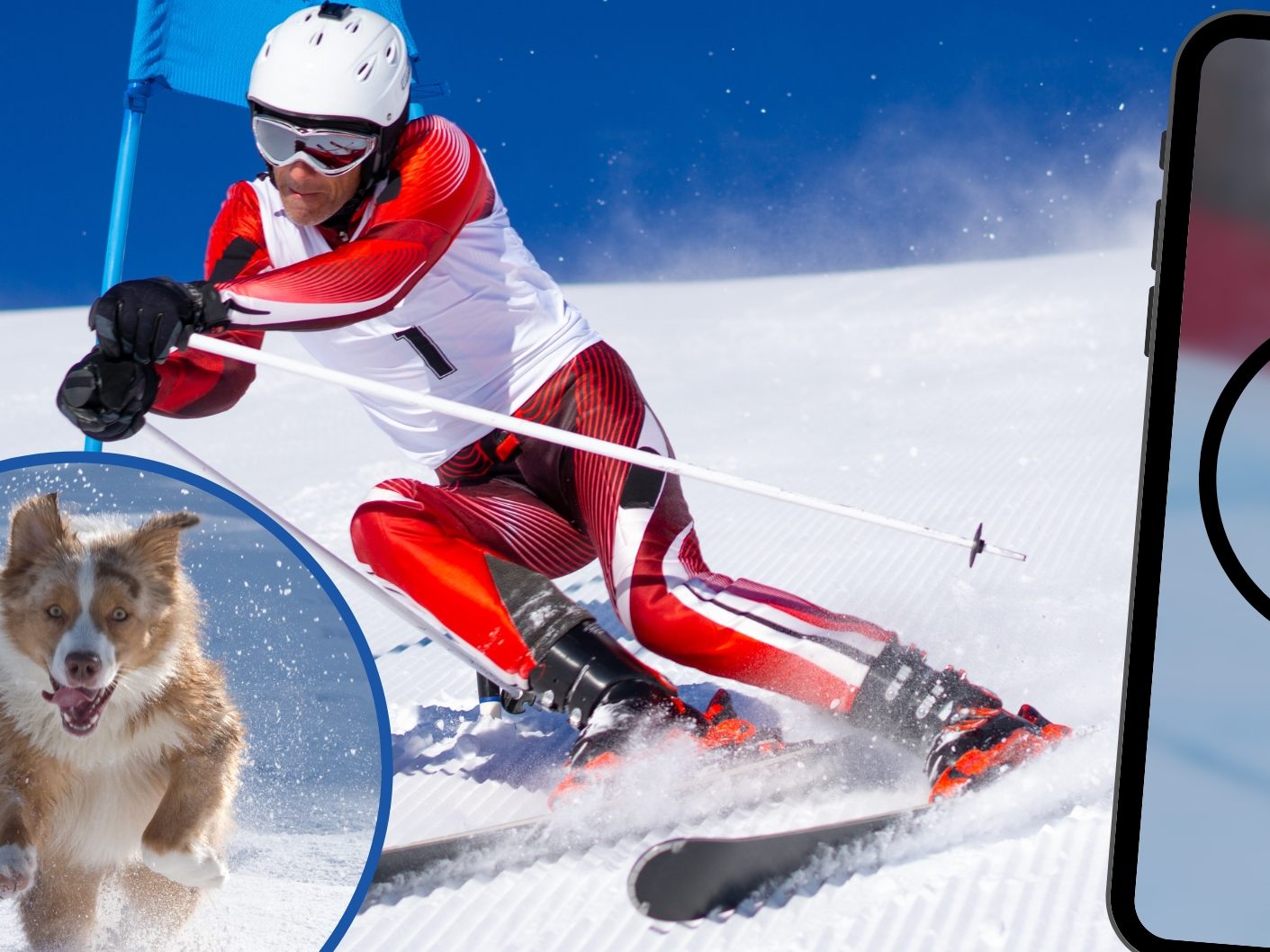 Hund sorgt bei Ski-Weltcup für Unterbrechungen