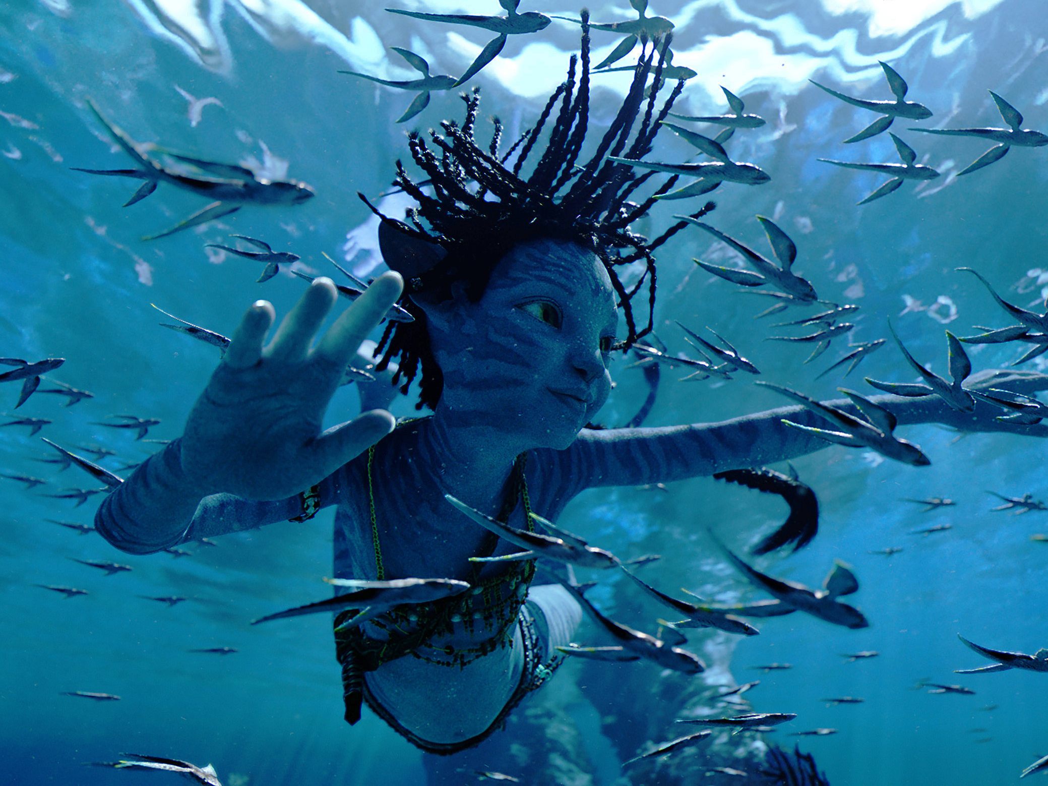 "Avatar: The Way of Water" von James Cameron lockte ein Millionenpublikum in die heimischen Kinos.