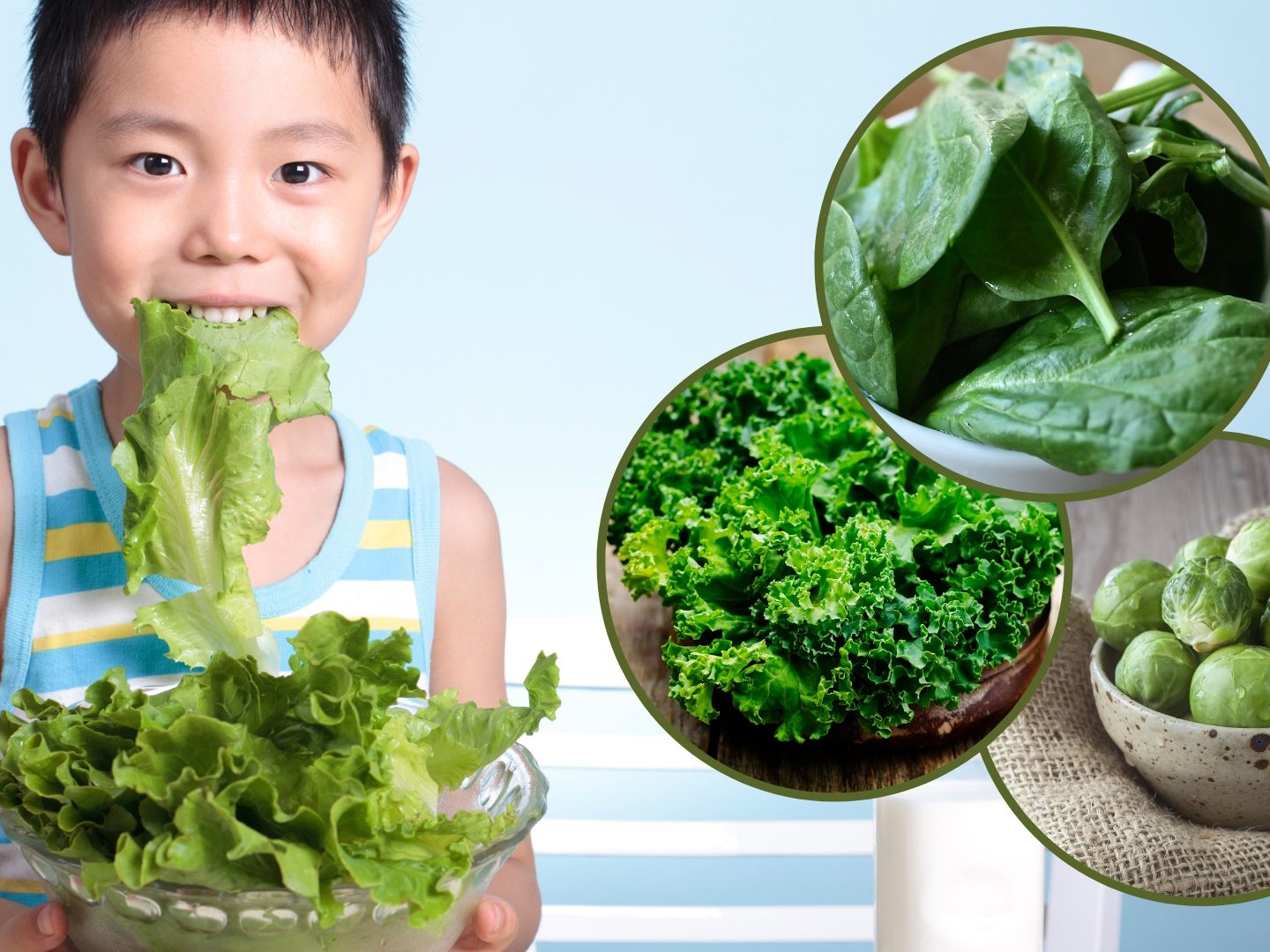 Gemüse ist gesund,mehr Gemüse braucht das Land - besonders diese drei Sorten. Gemüse ist gesund,mehr Gemüse braucht das Land - besonders diese drei Sorten.