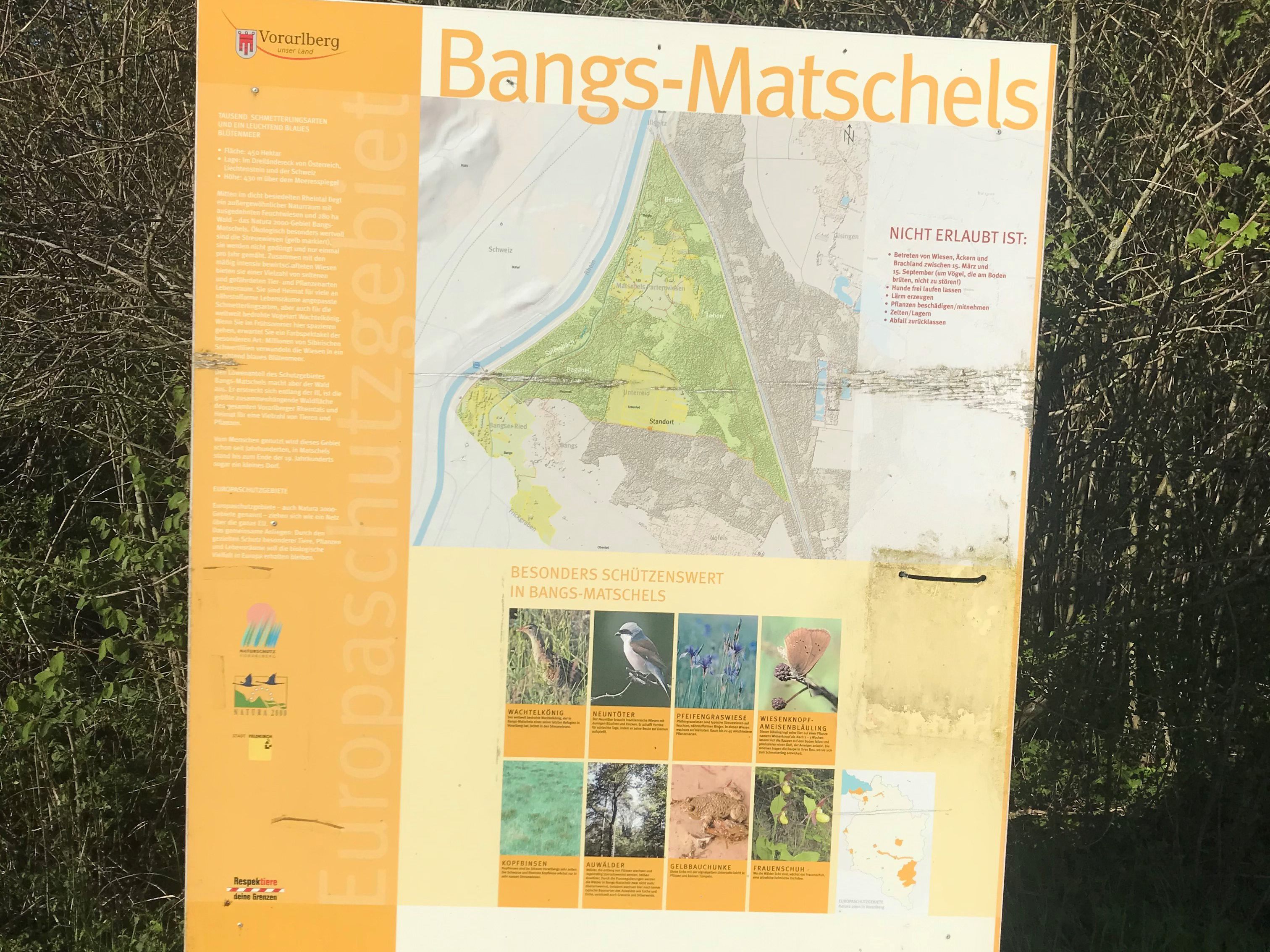 Naturschutzgebiet Bangs-Matschels.