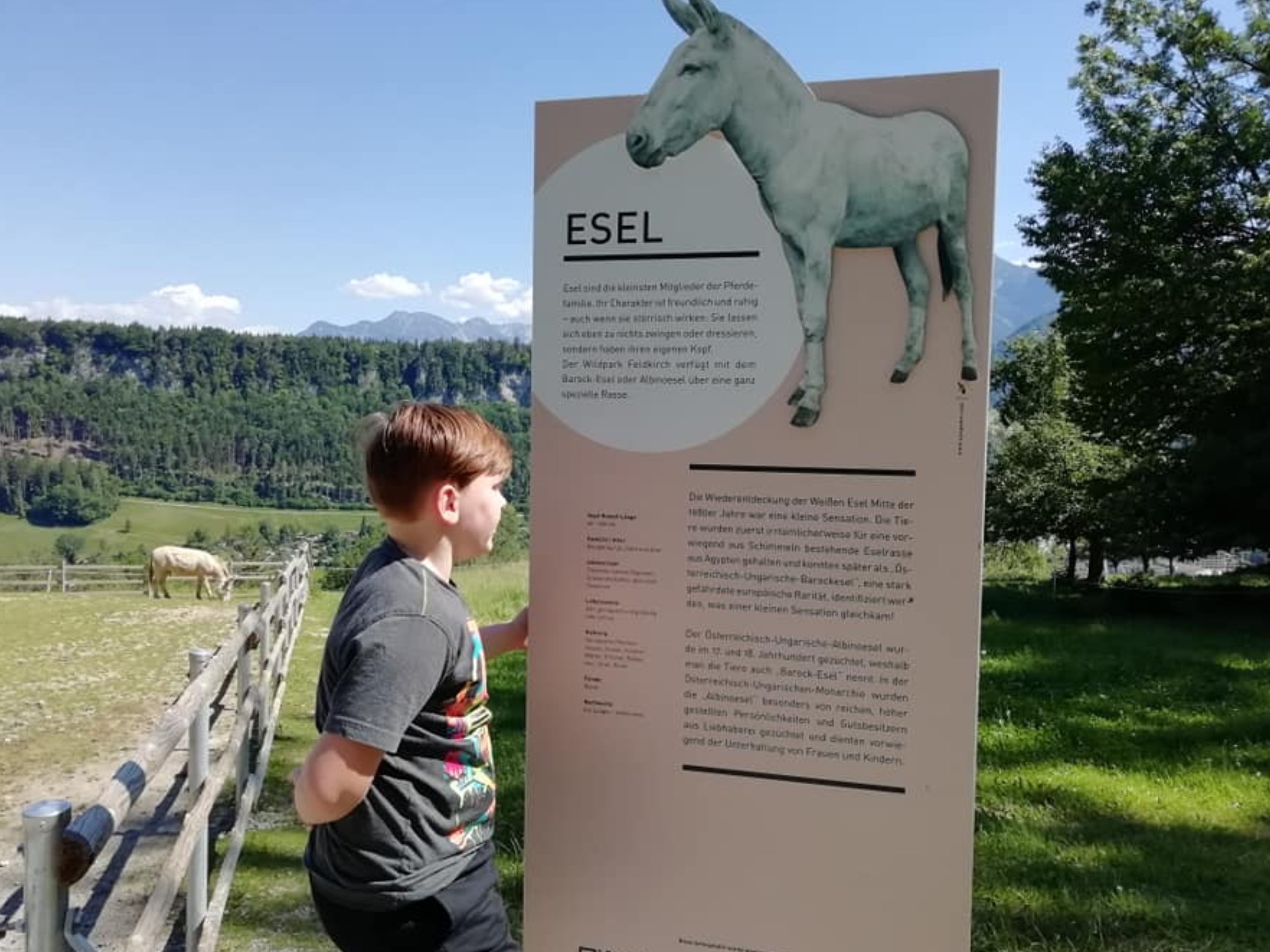 Der Feldkircher Wildpark bleibt mit einem Shuttlebus weiterhin bequem erreichbar