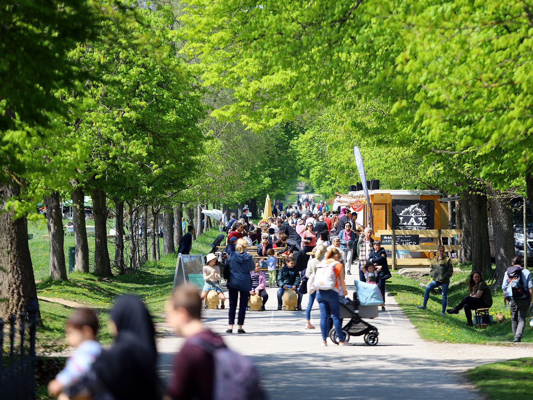 Die Stadt Wien lädt auch 2023 wieder zum Frühlingsfest in den Lainzer Tiergarten.