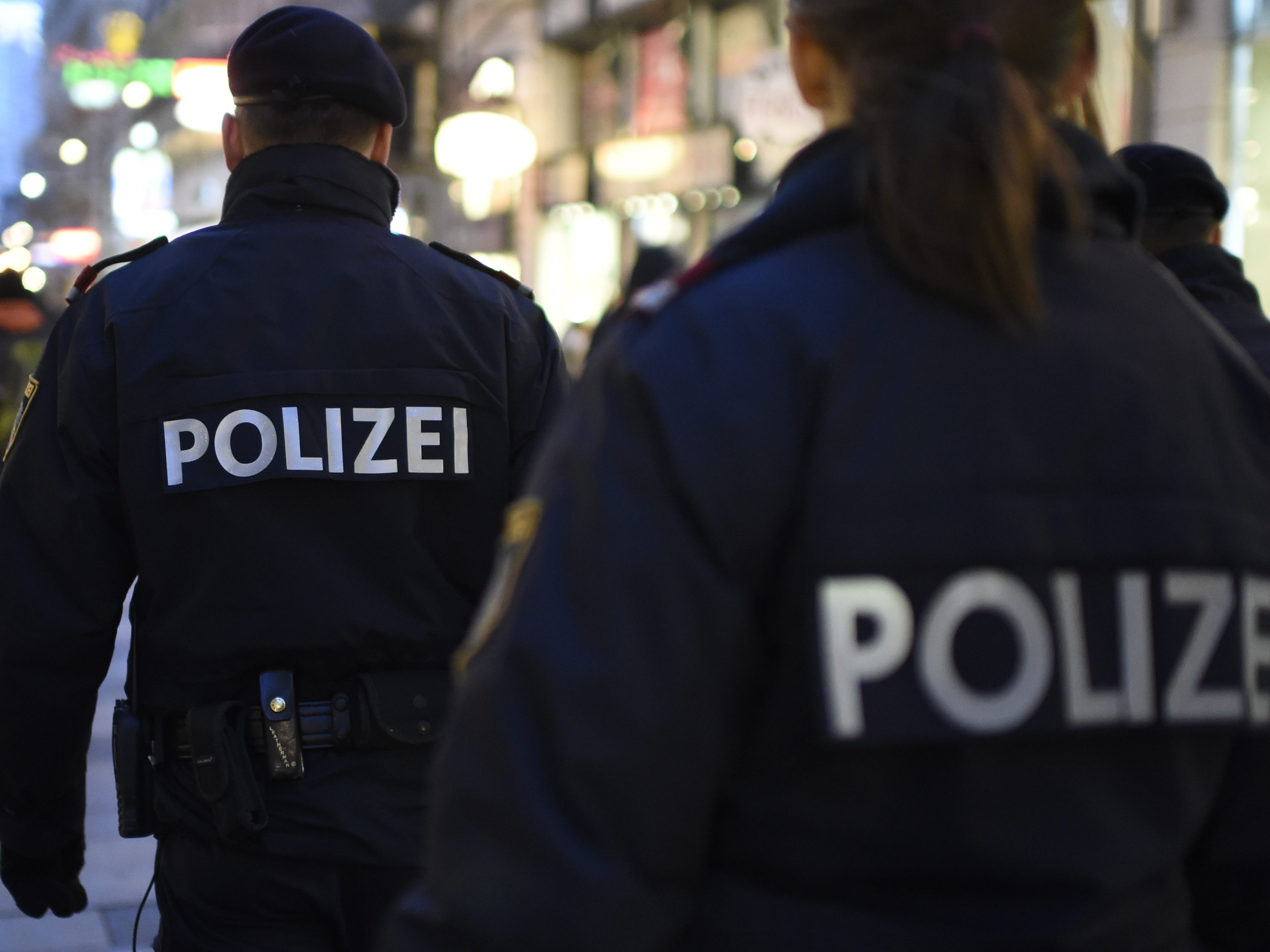 Bei dem Einsatz wurde ein Polizist verletzt.