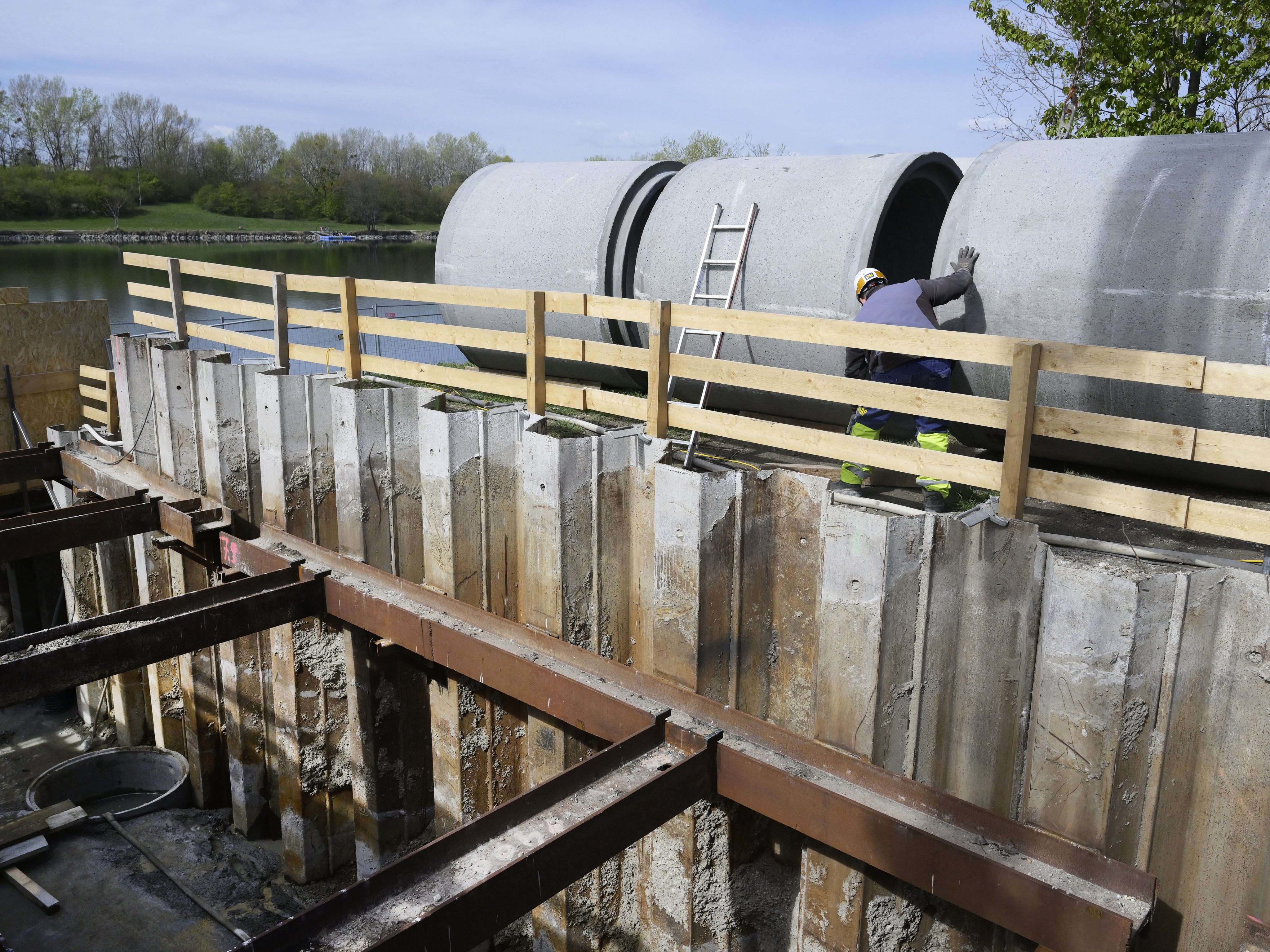 Ohne zusätzliches Wasser droht dem Augebiet in der Lobau die Austrocknung.