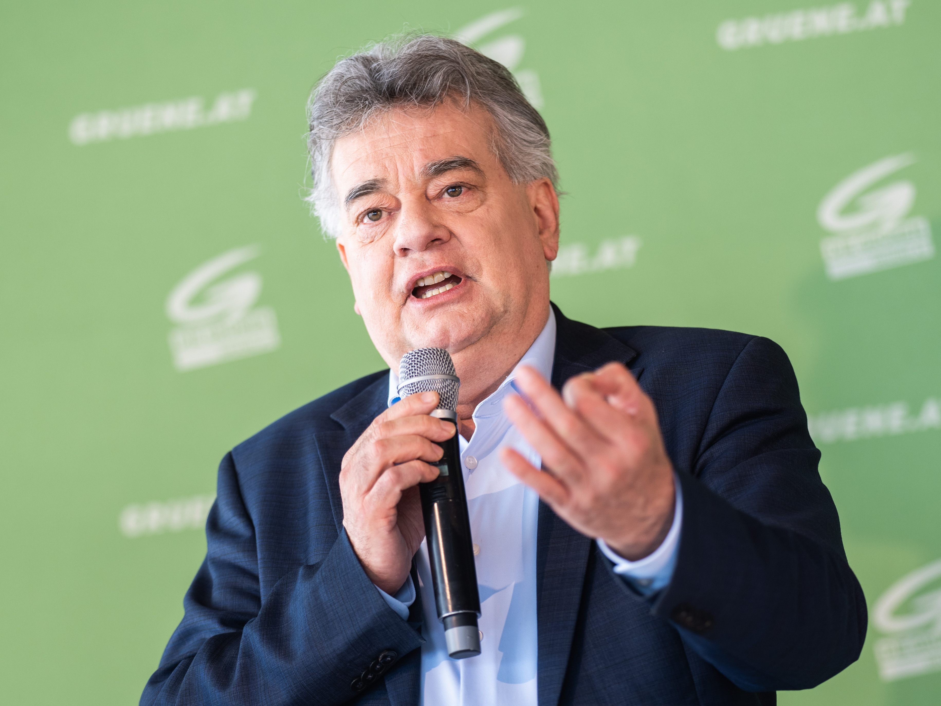 Die Grünen ernteten viel Kritik.