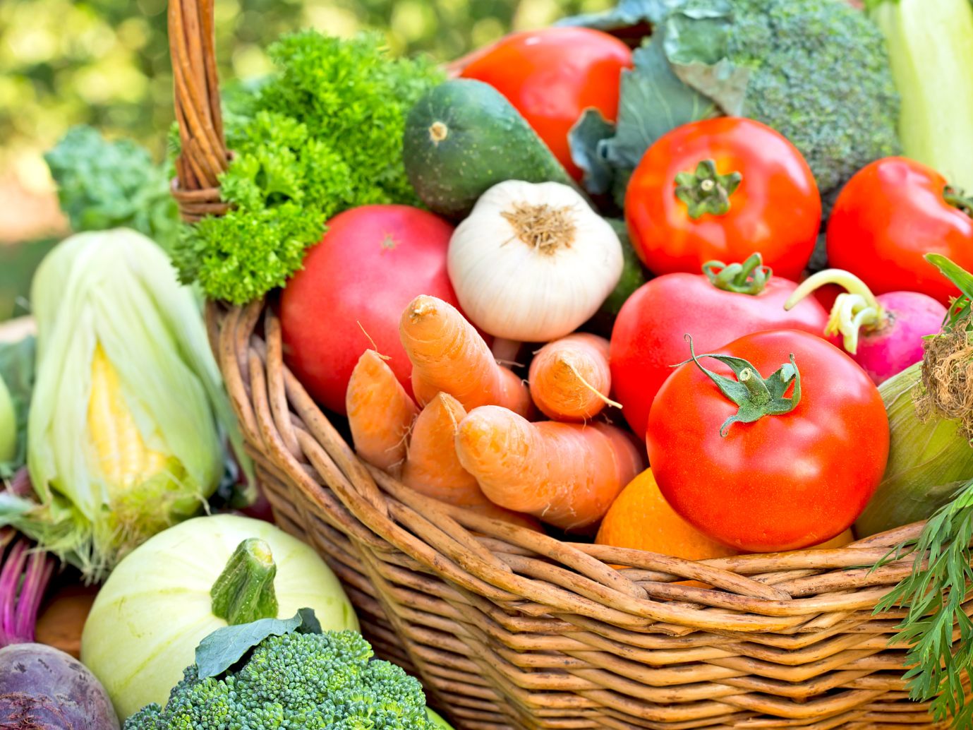 Der WWF fordert eine Ernährungswende zum Earth Day.