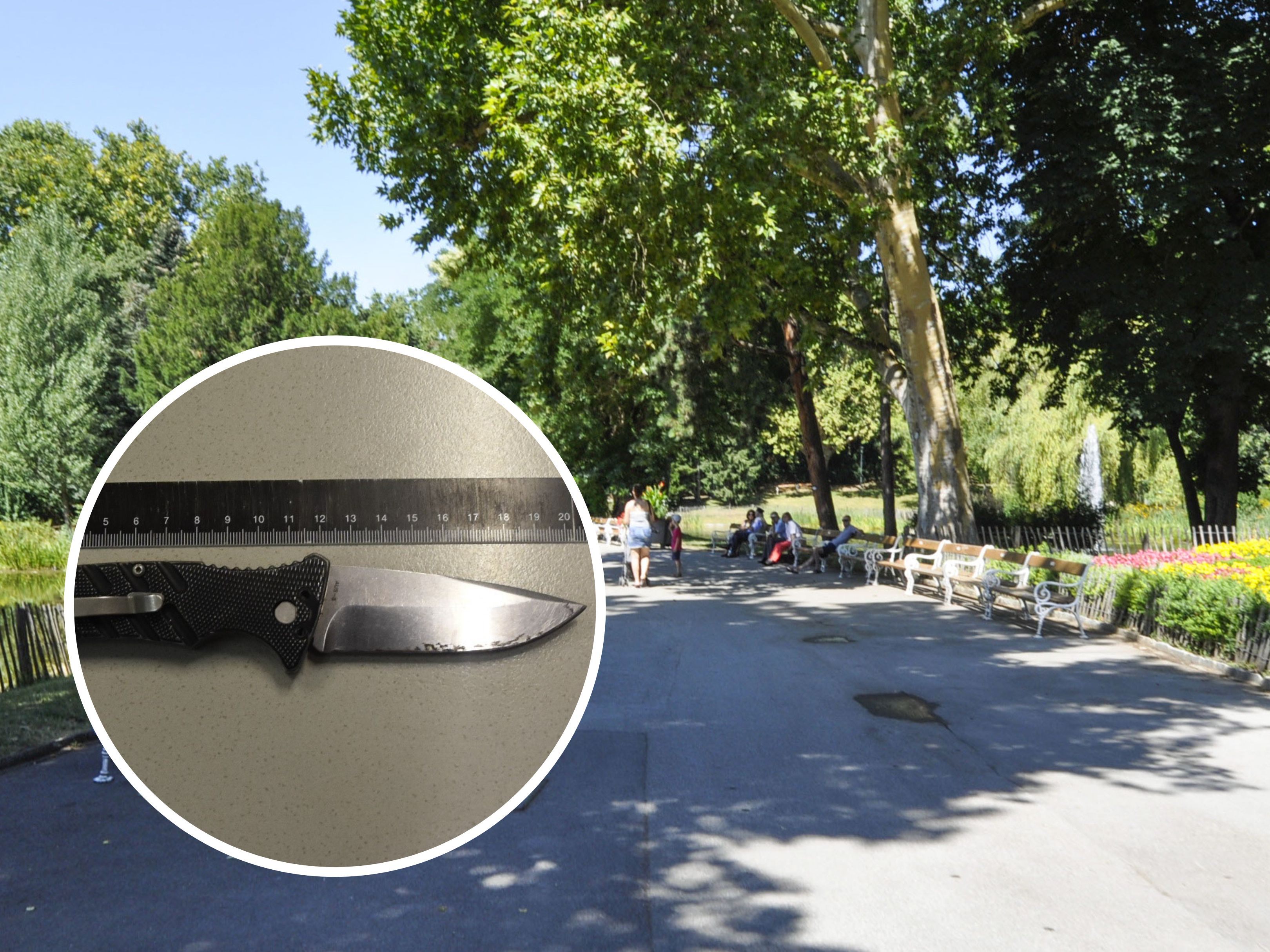 Im Wiener Türkenschanzpark kam es zu einem Diebstahl. Im Wiener Türkenschanzpark kam es zu einem Diebstahl.